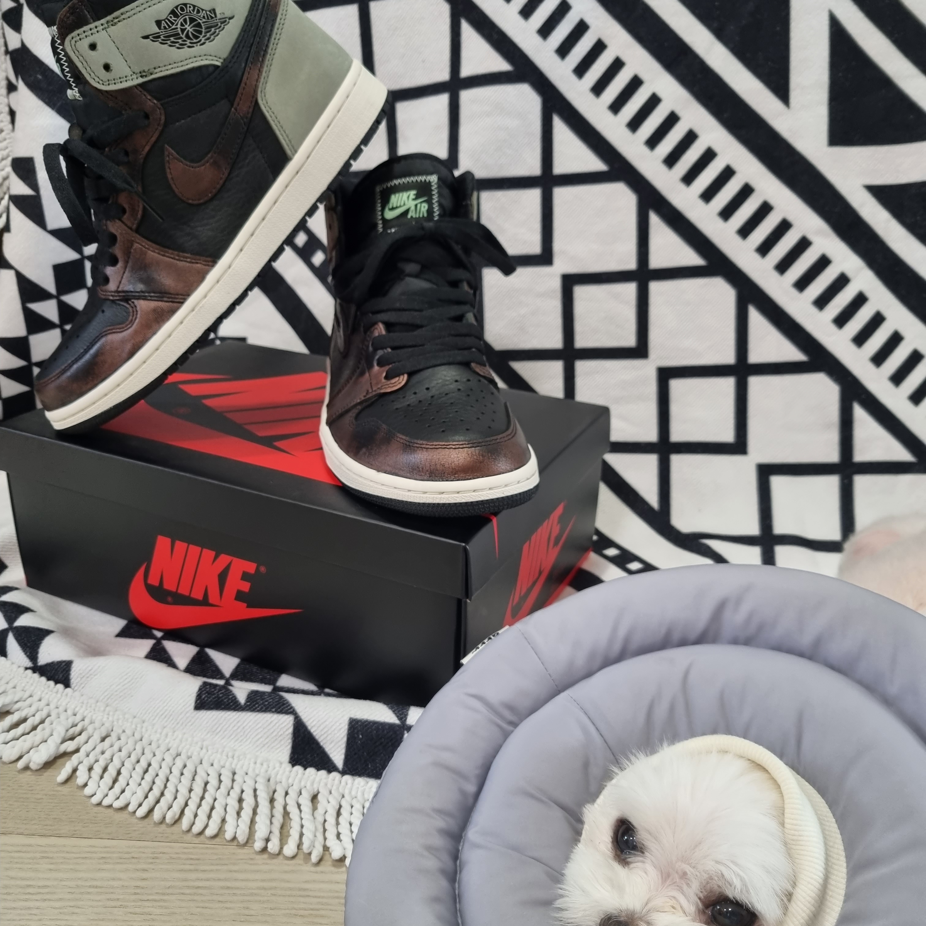 Jordan 1 Retro High OG Rust Shadow 착용 스타일 - 4
