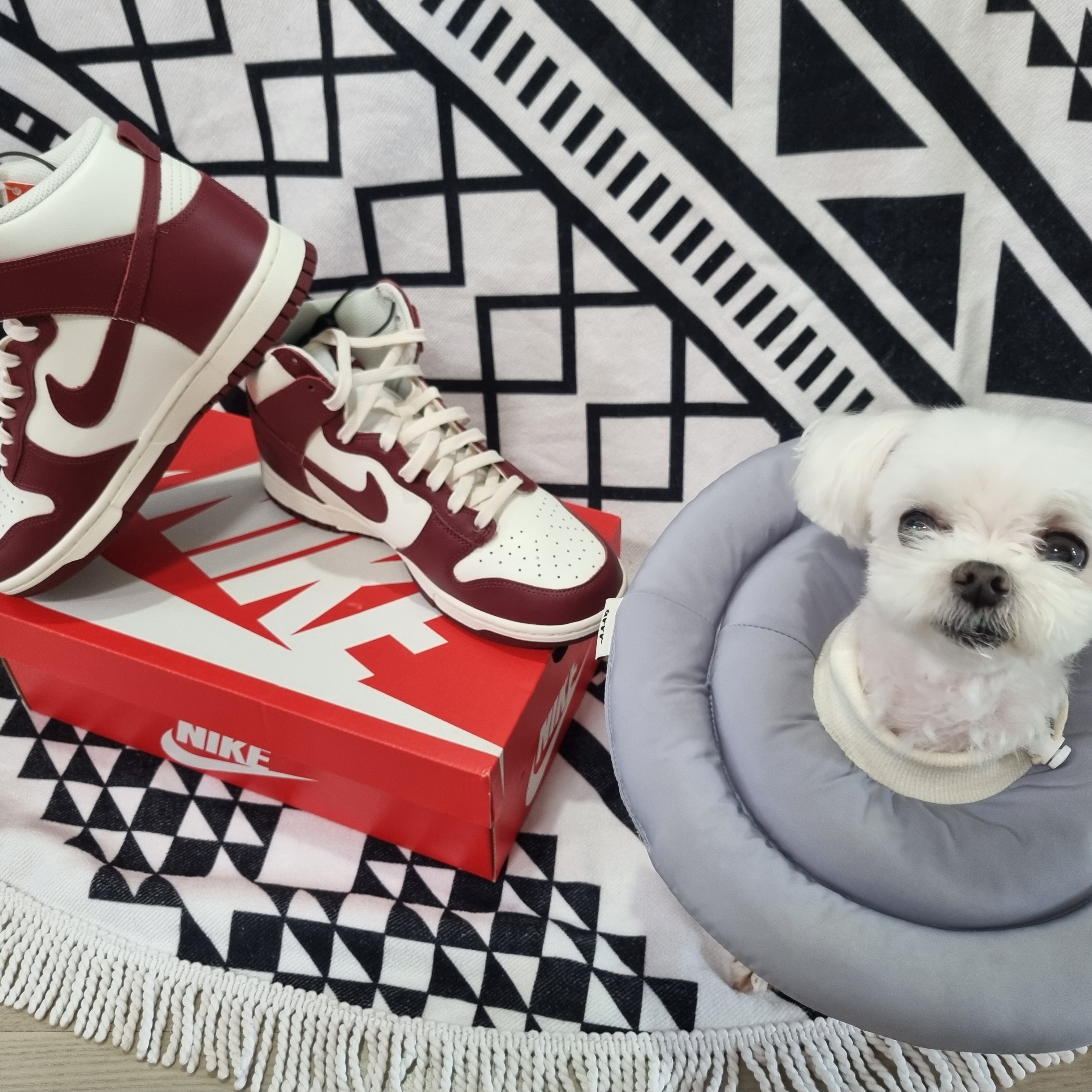 (W) Nike Dunk High Team Red 착용 스타일 - 1