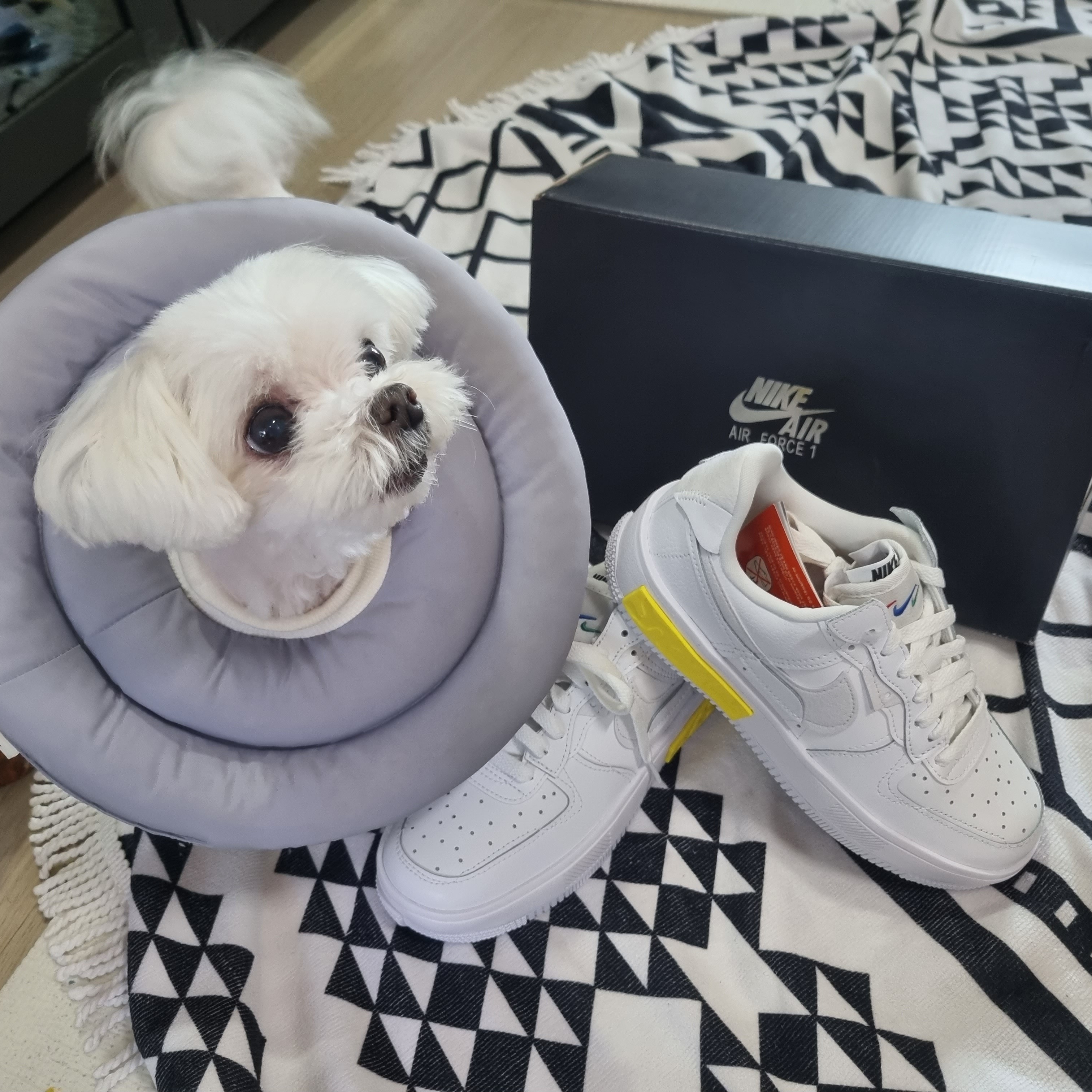 (W) Nike Air Force 1 Fontanka White 착용 스타일 - 1