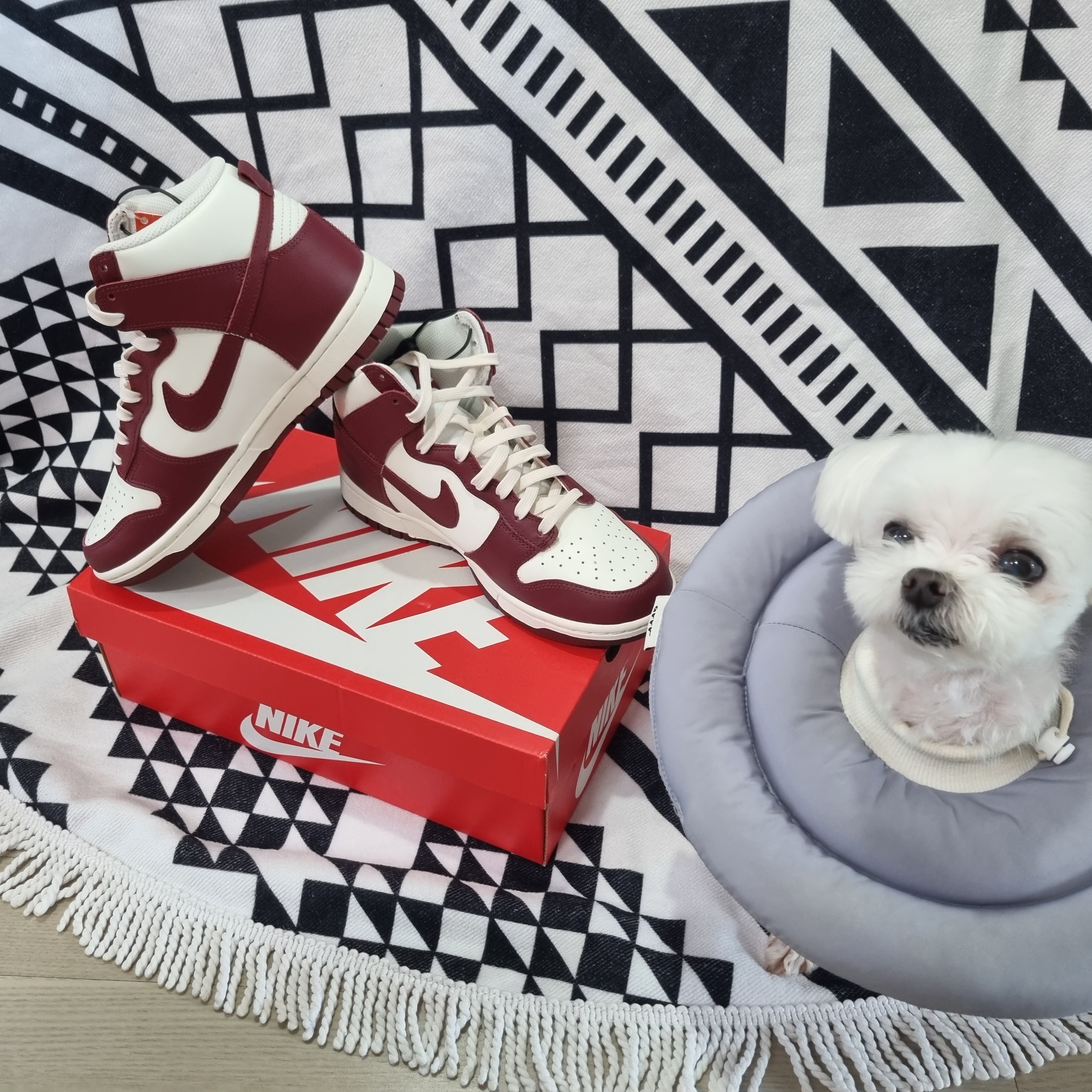 (W) Nike Dunk High Team Red 착용 스타일 - 5