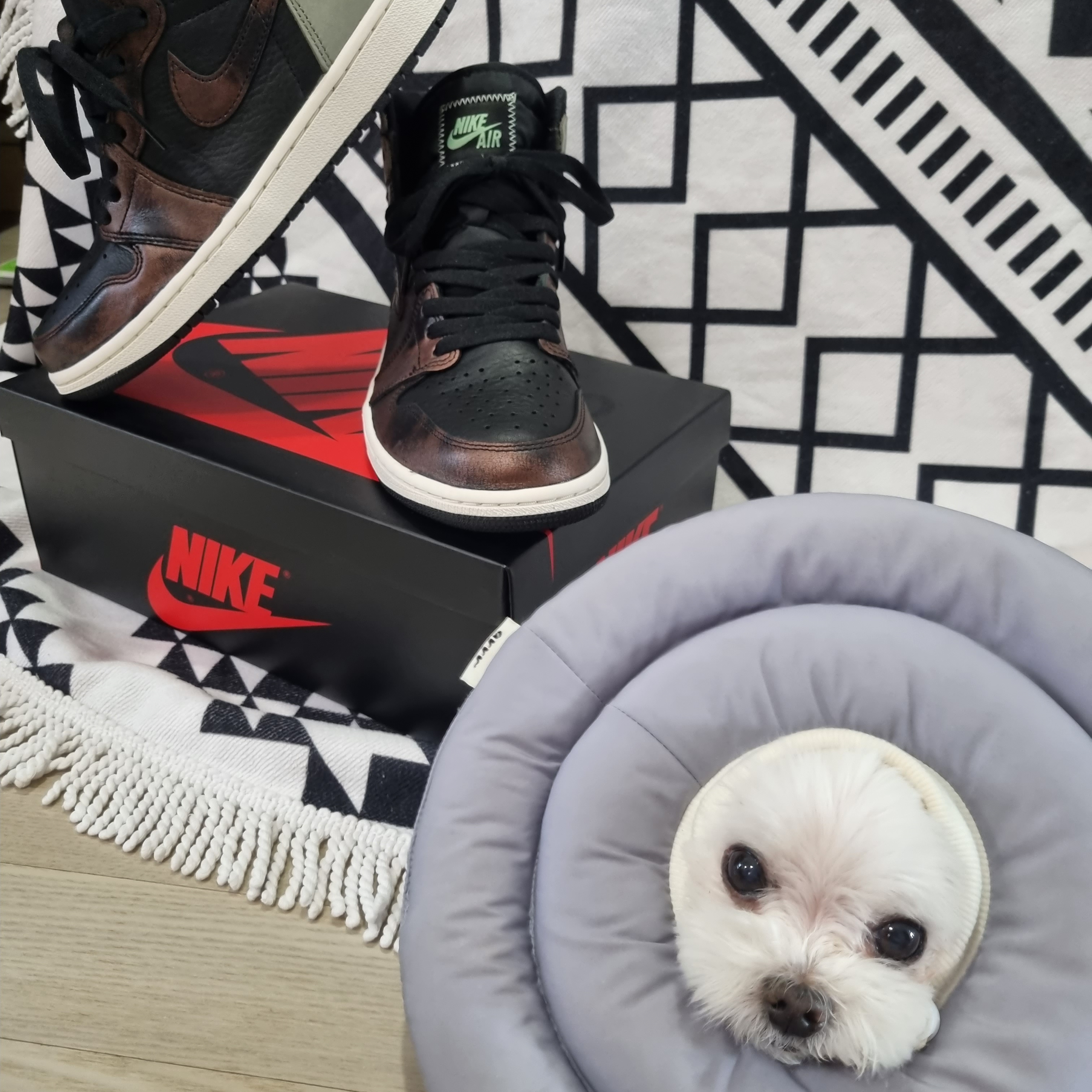 Jordan 1 Retro High OG Rust Shadow 착용 스타일 - 1
