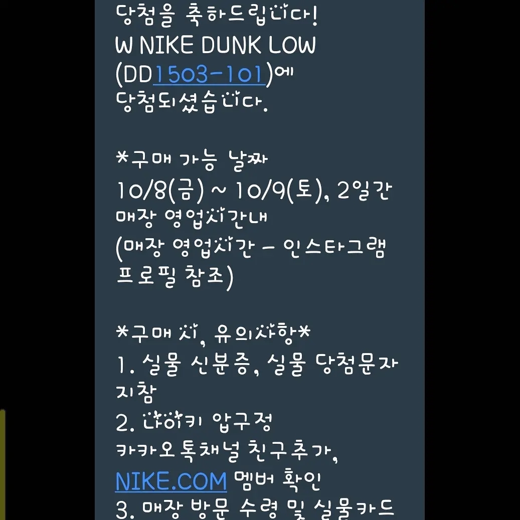 (W) Nike Dunk Low Black 착용 스타일