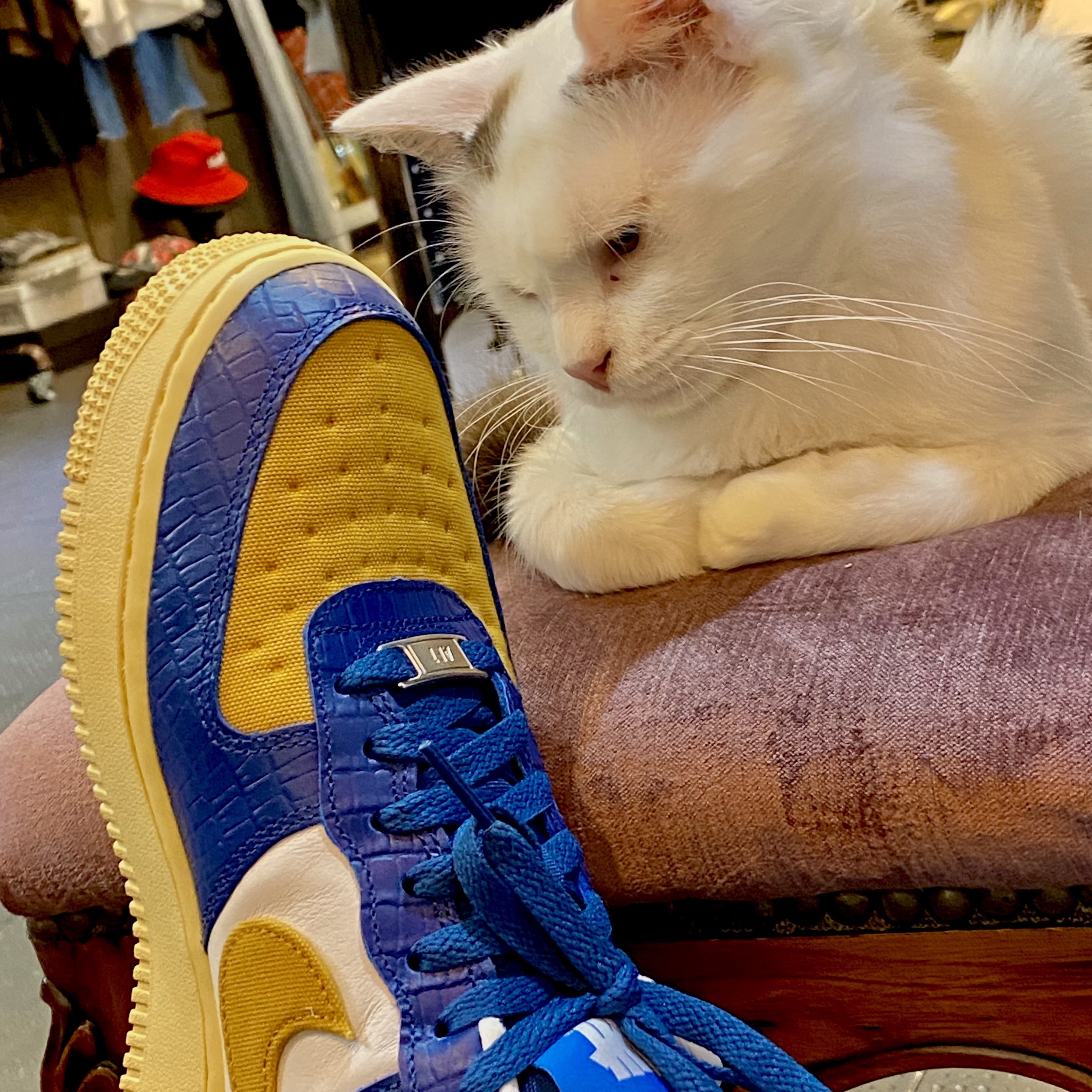 Nike x Undefeated Air Force 1 Low SP 5 On It Court Blue 착용 스타일