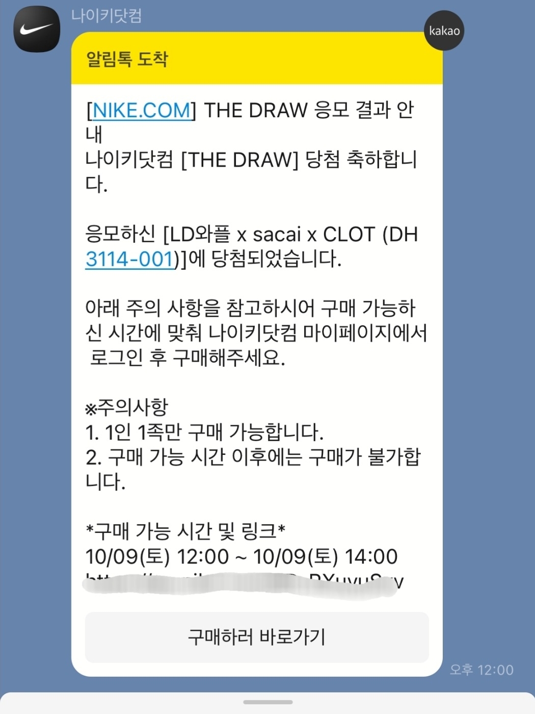 Nike x Sacai x Clot LDWaffle Cool Grey 착용 스타일