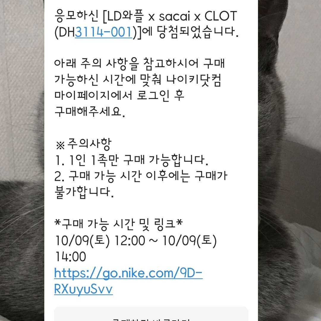 Nike x Sacai x Clot LDWaffle Cool Grey 착용 스타일 - 1