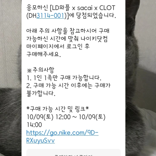 스타일 카드