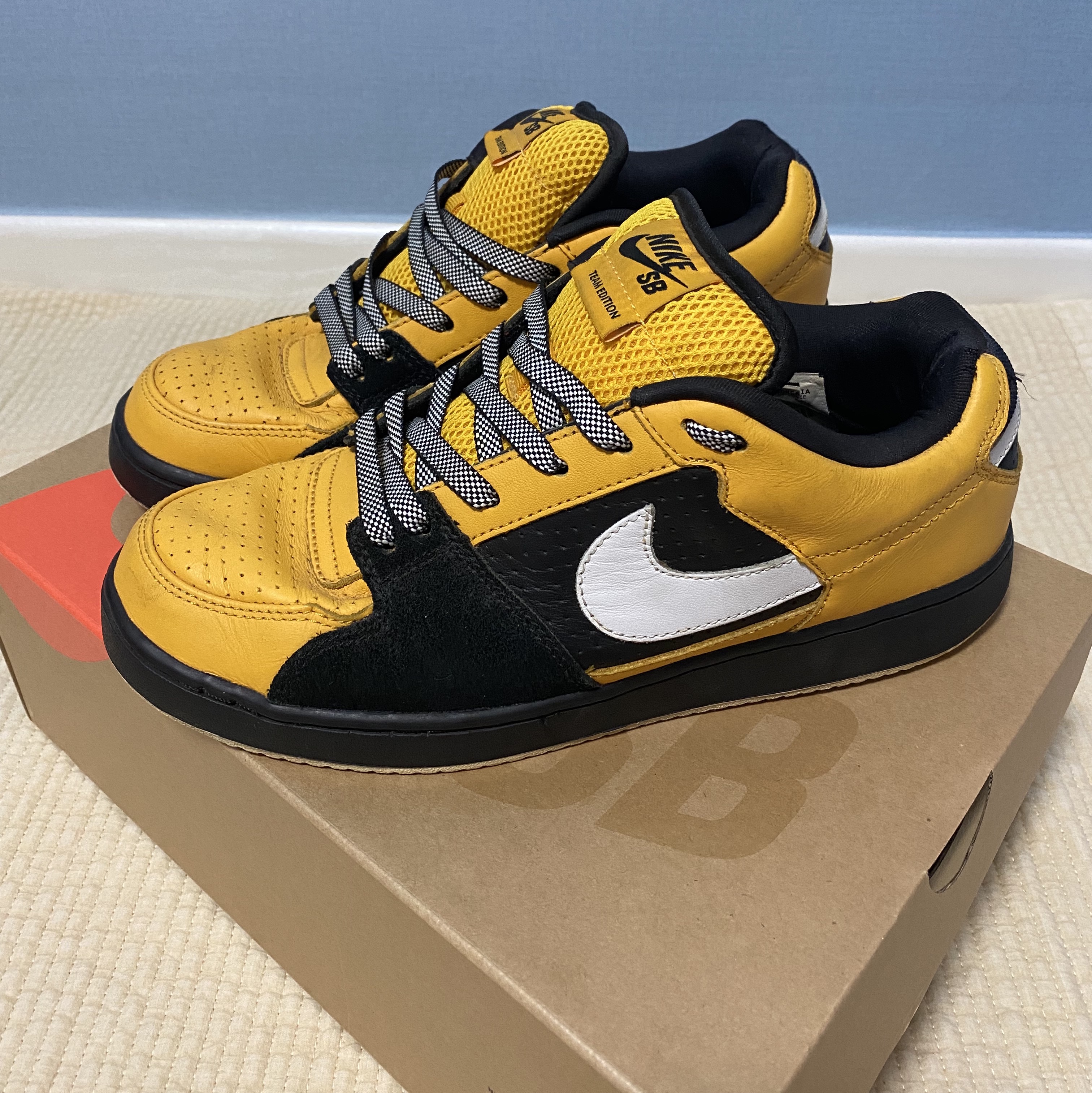 Nike SB Zoom Team Edition Taxi 착용 스타일