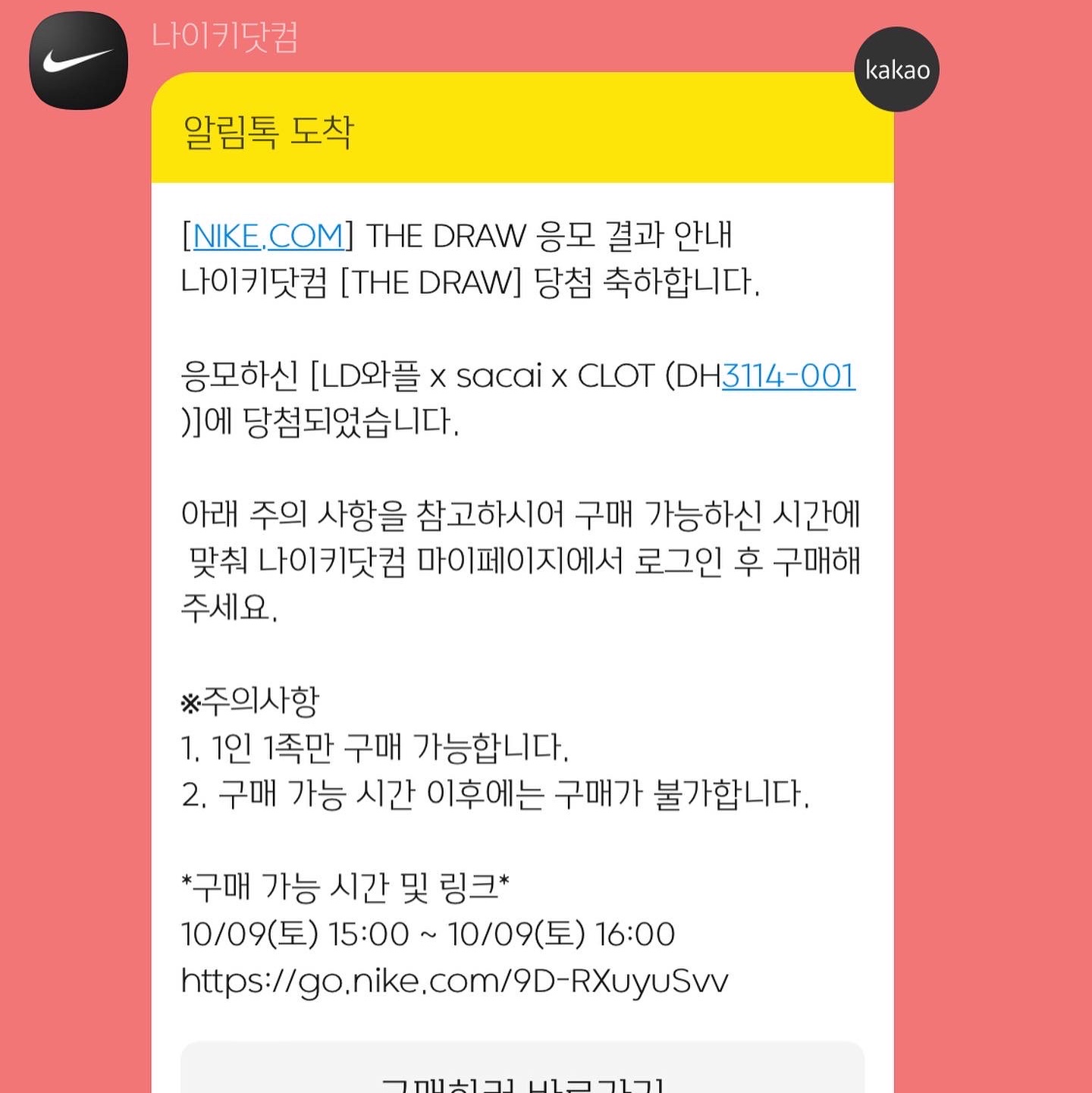 Nike x Sacai x Clot LDWaffle Cool Grey 착용 스타일
