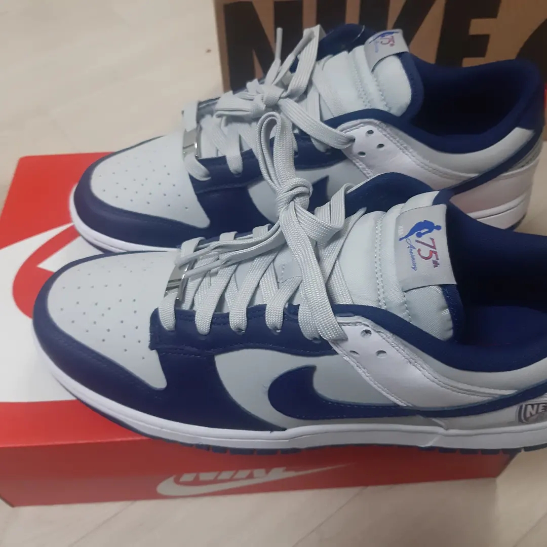 Nike x NBA Dunk Low Retro EMB Nets 착용 스타일 - 3