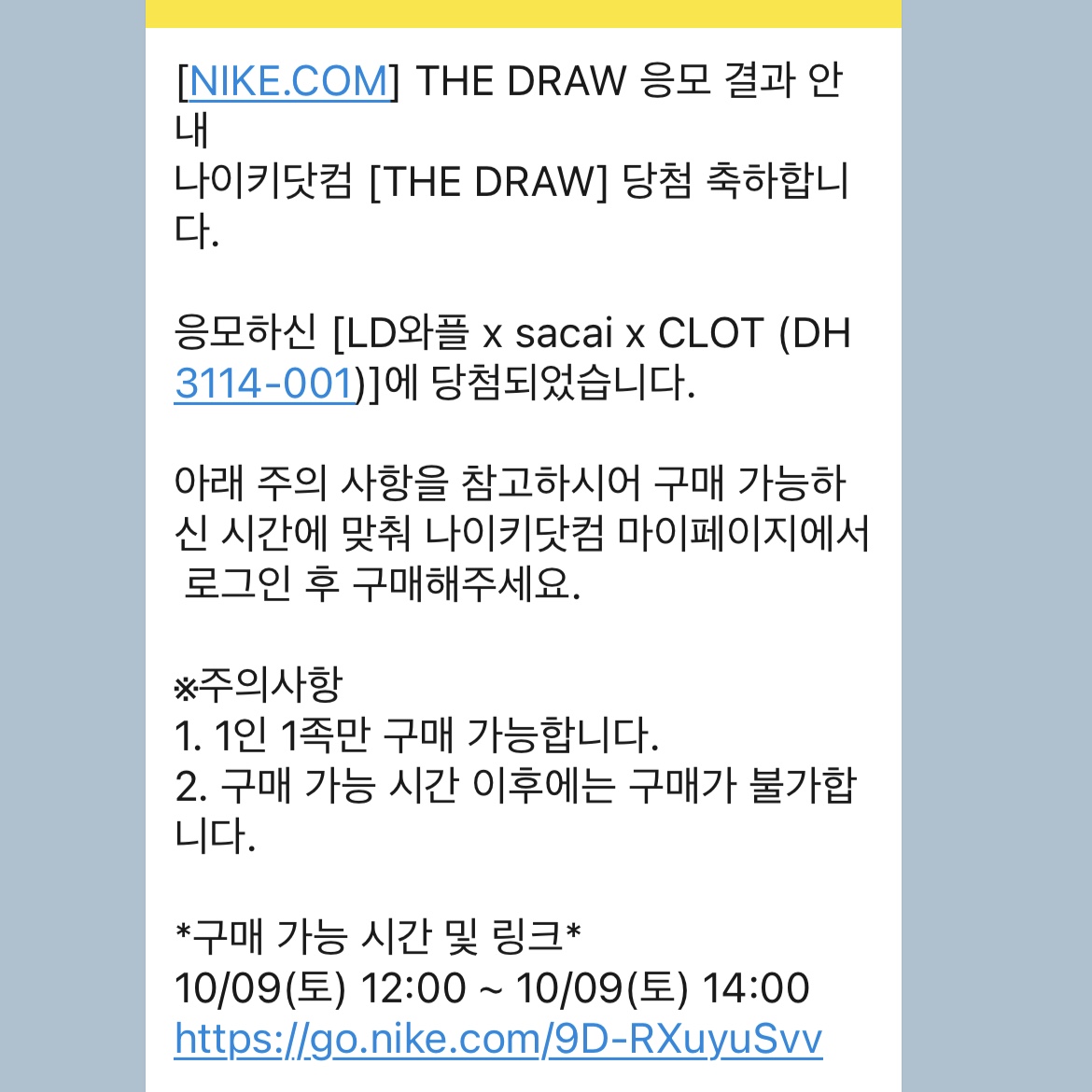 Nike x Sacai x Clot LDWaffle Cool Grey 착용 스타일