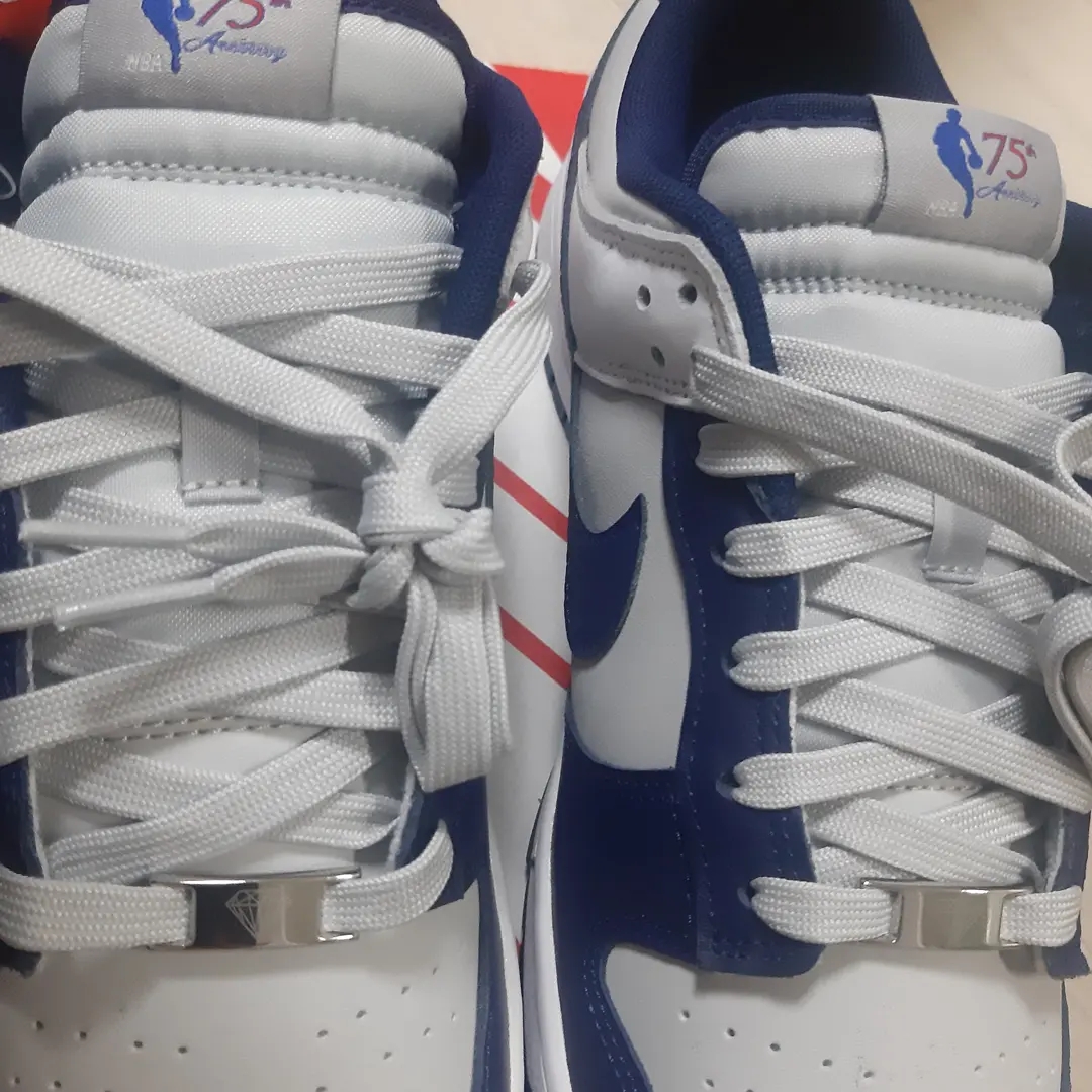 Nike x NBA Dunk Low Retro EMB Nets 착용 스타일 - 5