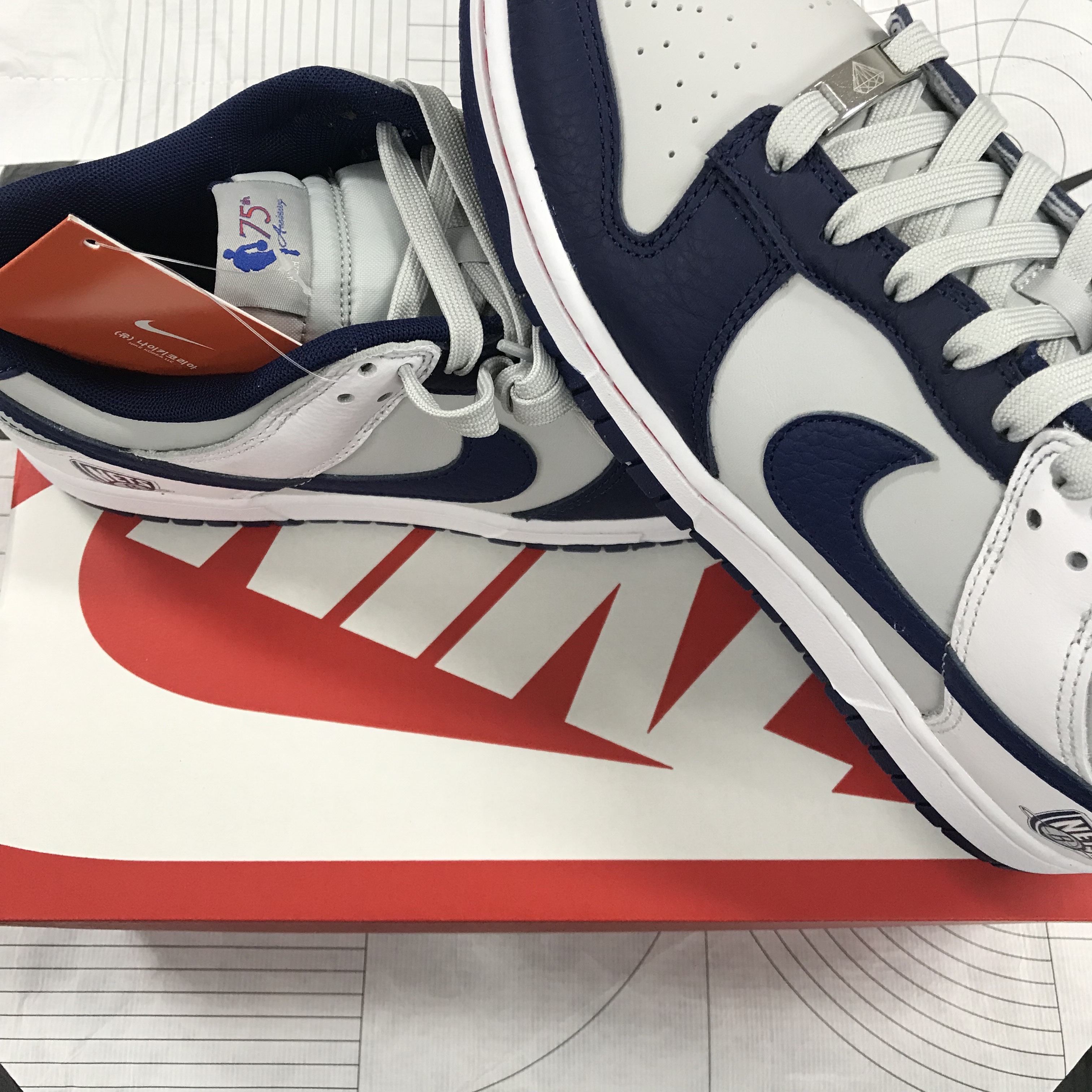 Nike x NBA Dunk Low Retro EMB Nets 착용 스타일 - 1
