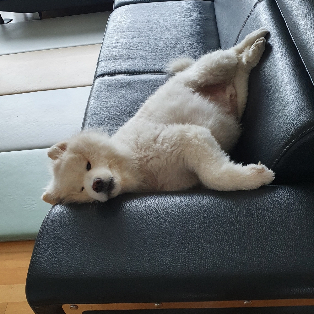 KREAM 프로필 이미지