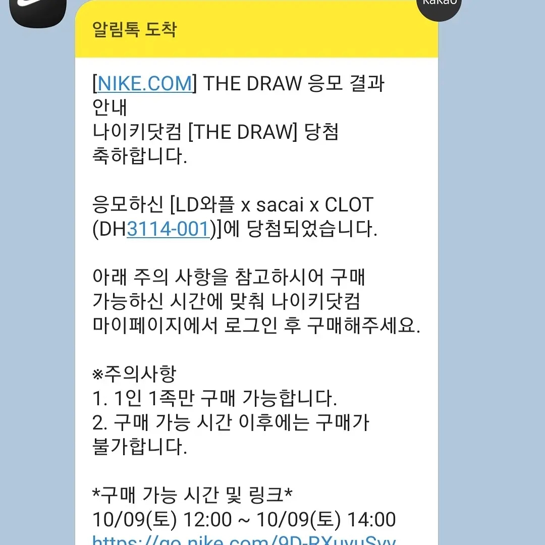 Nike x Sacai x Clot LDWaffle Cool Grey 착용 스타일 - 1