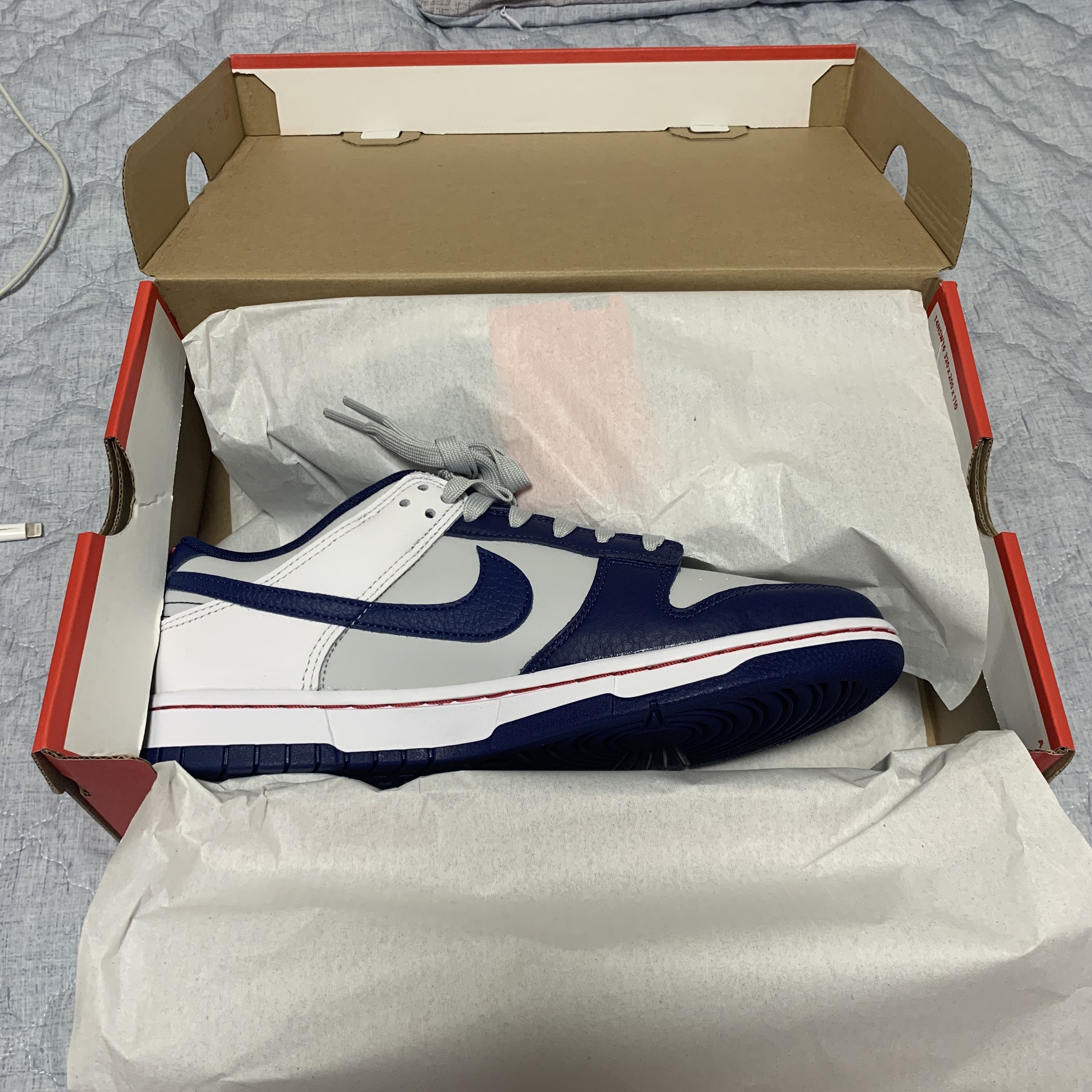 Nike x NBA Dunk Low Retro EMB Nets 착용 스타일 - 1