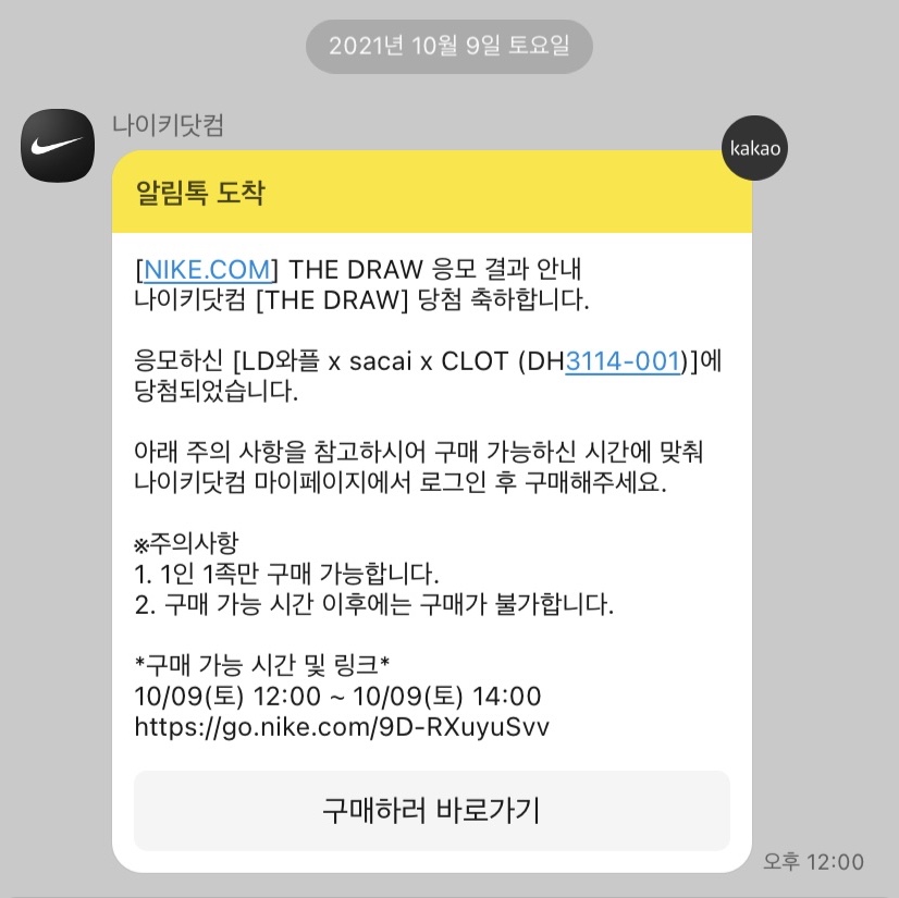 Nike x Sacai x Clot LDWaffle Cool Grey 착용 스타일