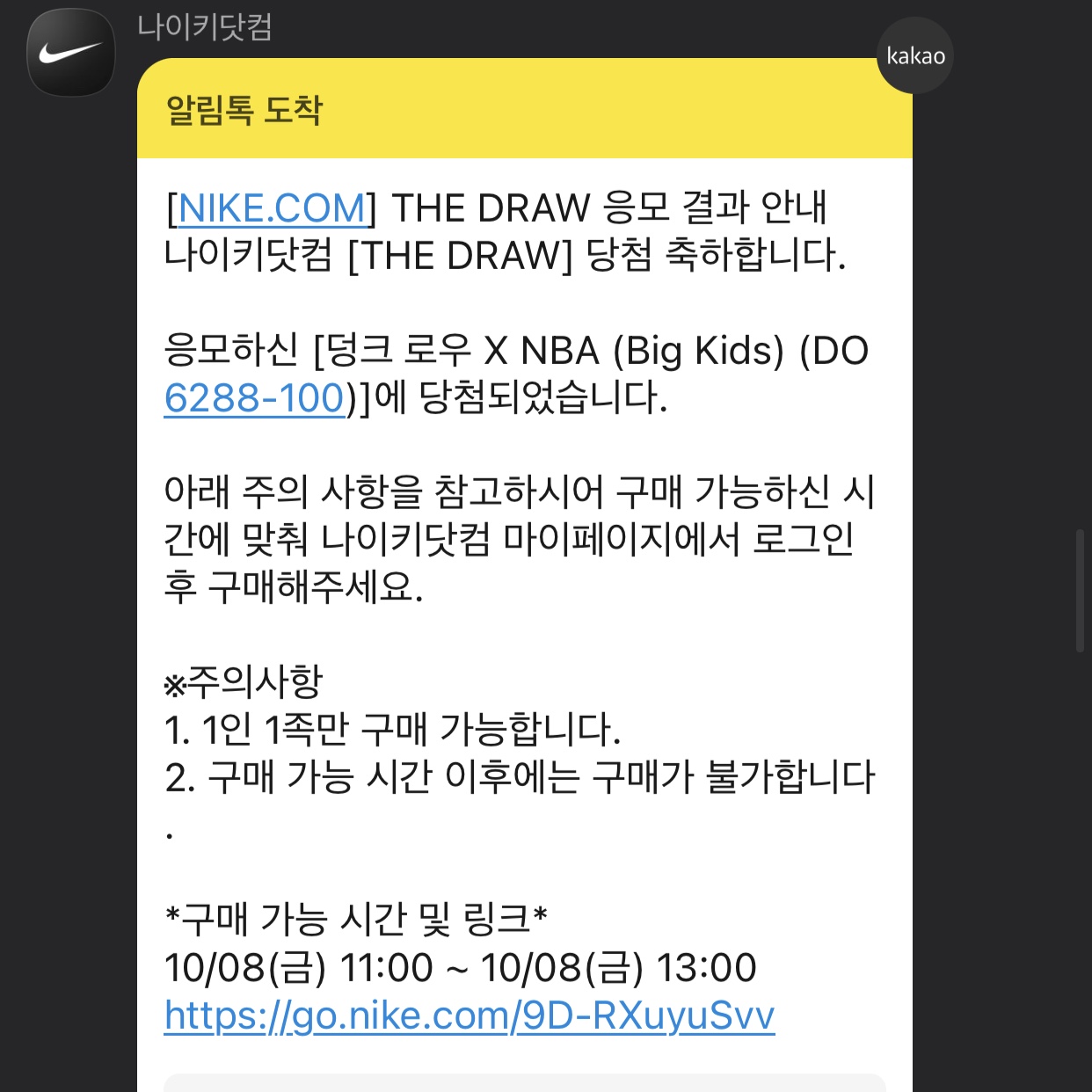 (GS) Nike x NBA Dunk Low Black and Chile Red 착용 스타일