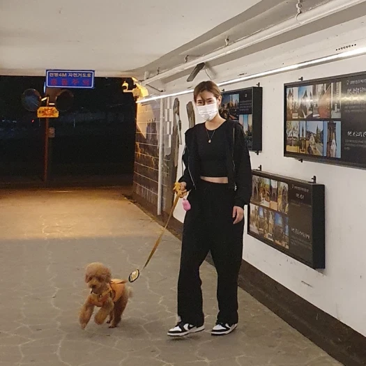 스타일 카드