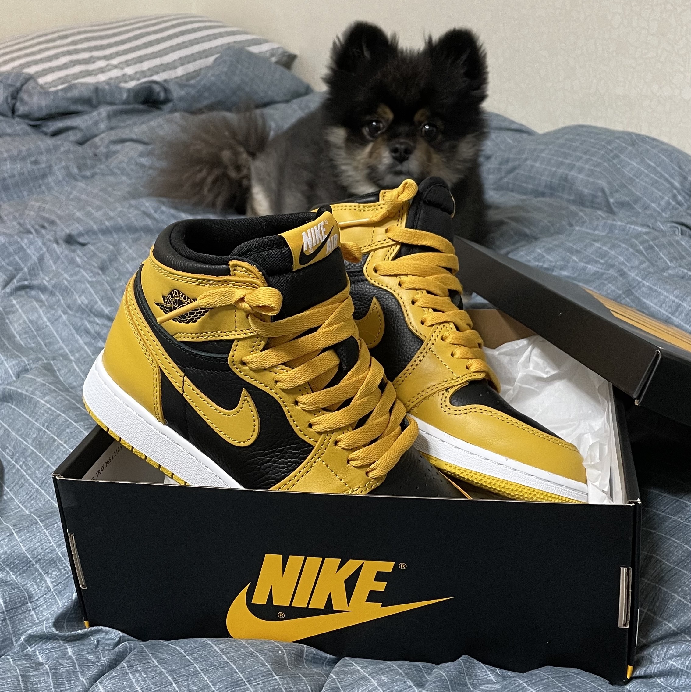 Jordan 1 Retro High OG Pollen 착용 스타일