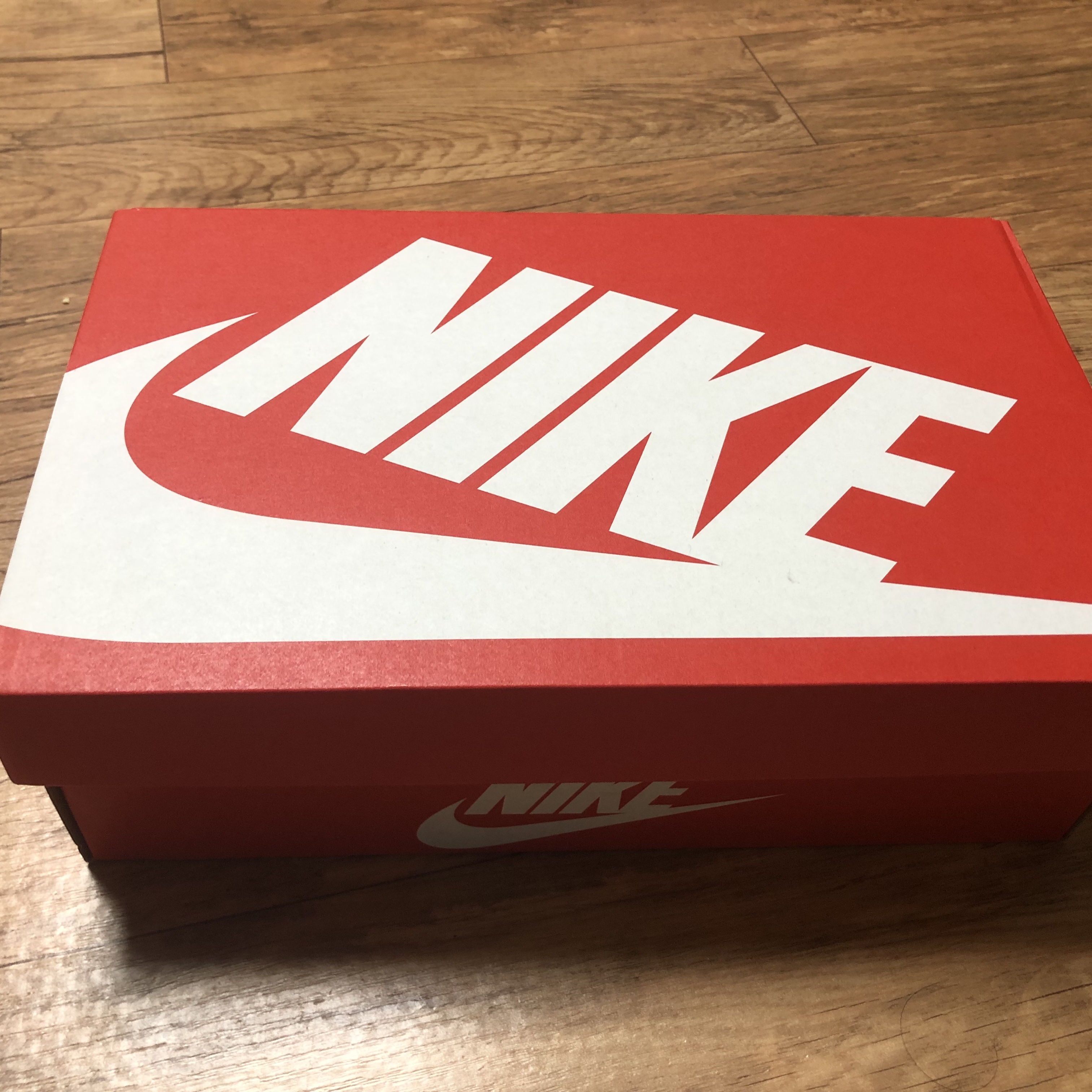 Nike Dunk Low Retro PRM Cider 착용 스타일 - 1