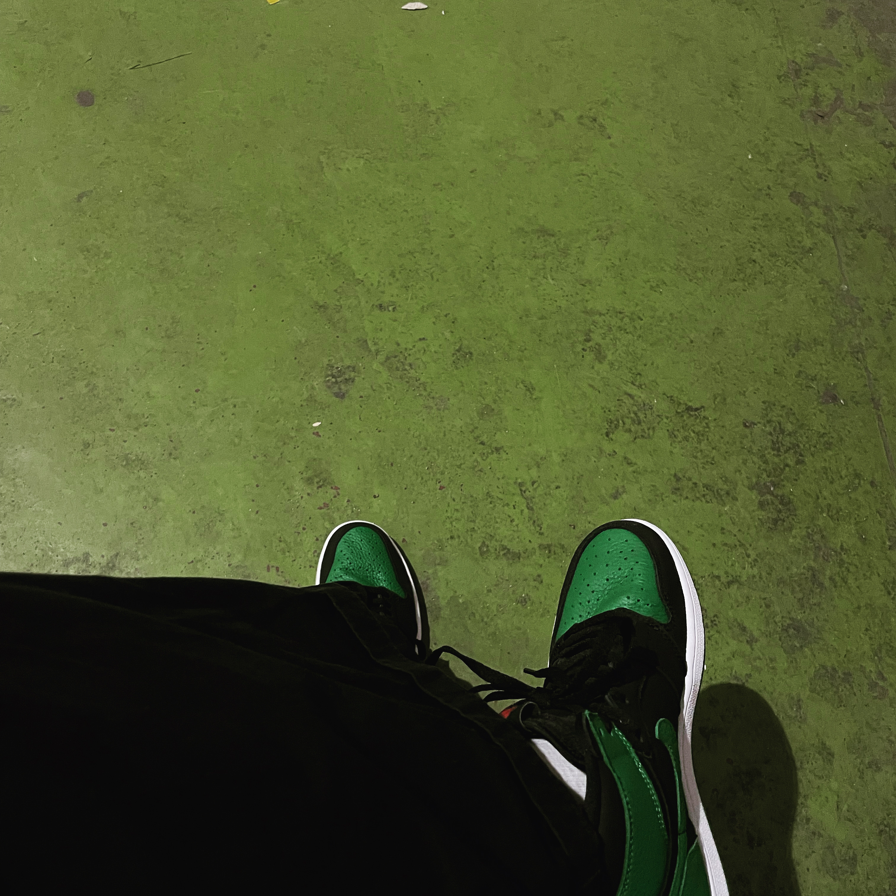 Jordan 1 Retro High OG Pine Green Black 착용 스타일 - 1