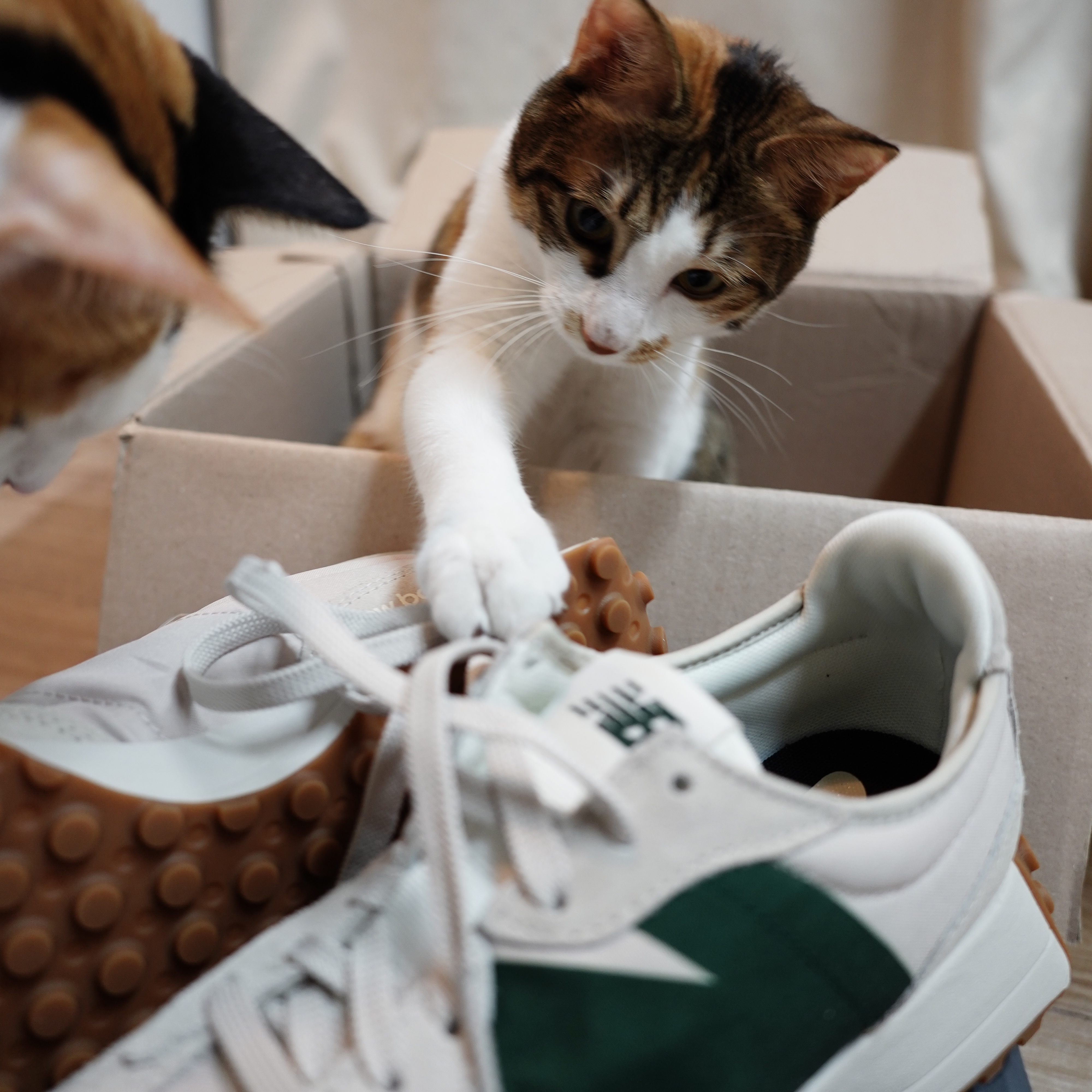 New Balance 327 Timberwolf 착용 스타일 - 2