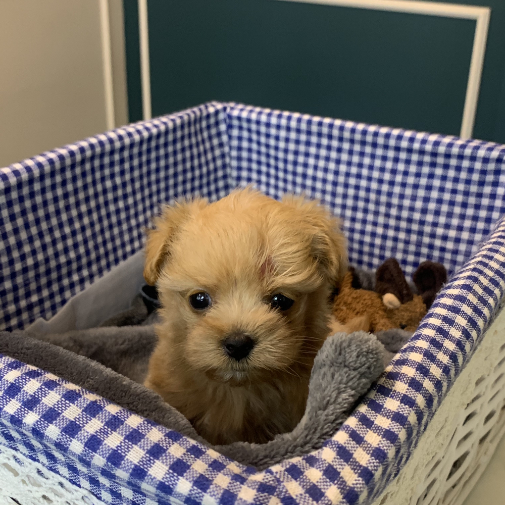 관심 유저 프로필 이미지