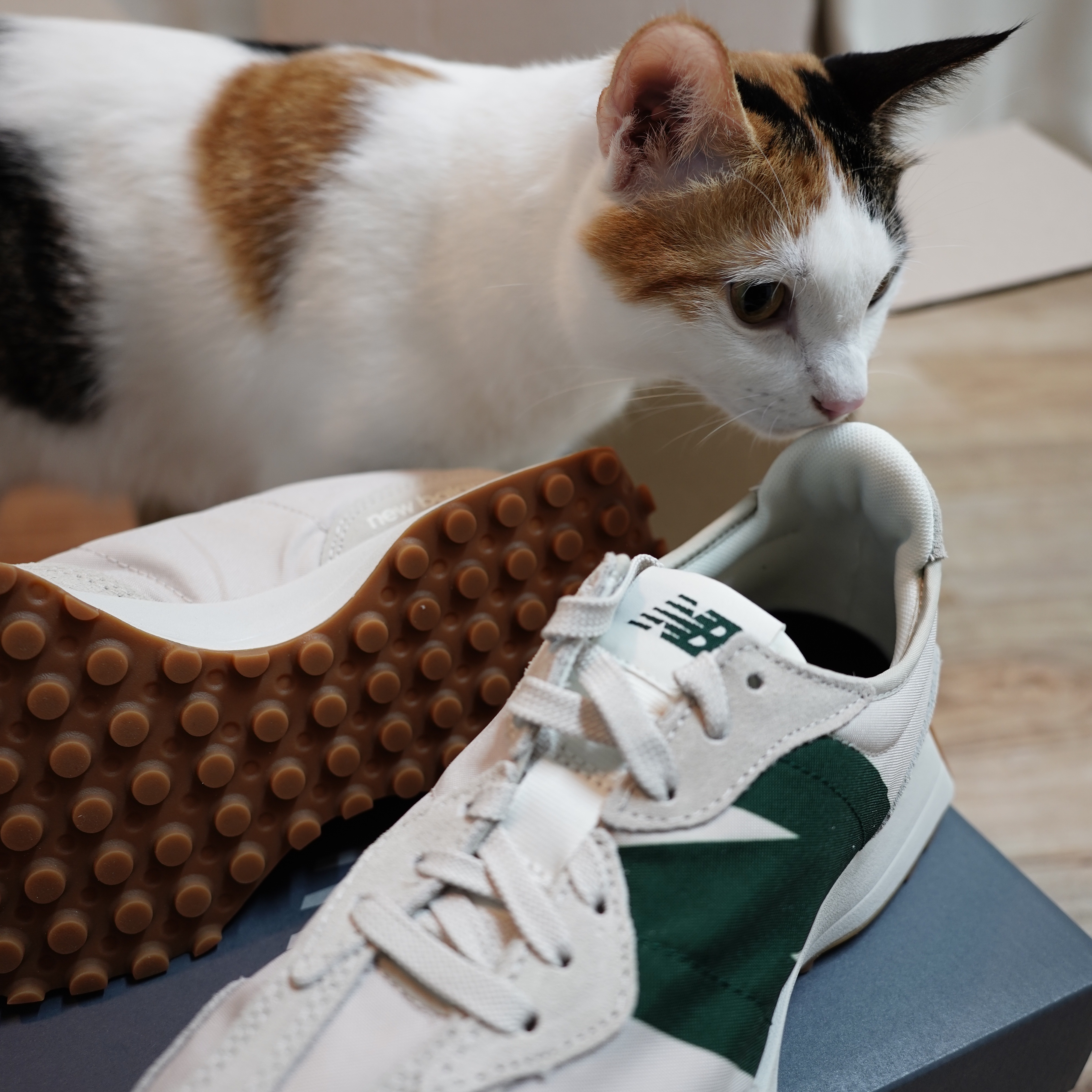 New Balance 327 Timberwolf 착용 스타일 - 1