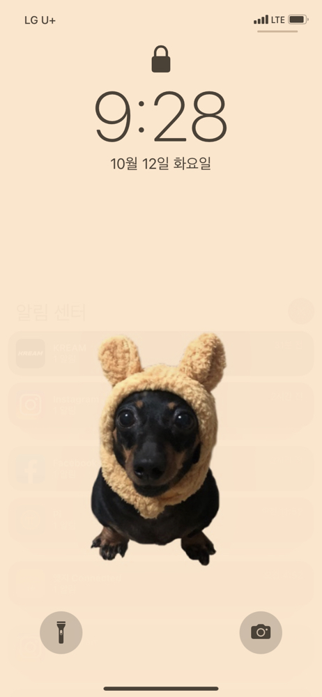 KREAM 프로필 이미지