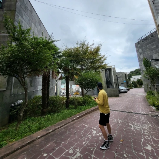 스타일 카드