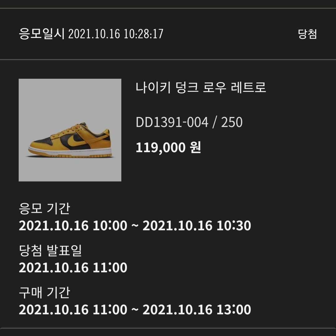 Nike Dunk Low Retro Championship Goldenrod 착용 스타일