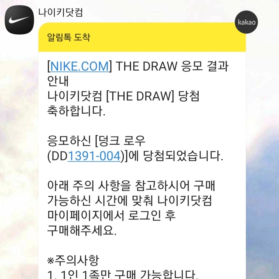 Nike Dunk Low Retro Championship Goldenrod 착용 스타일