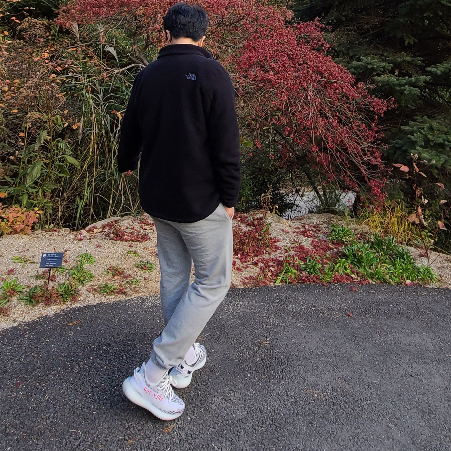 Adidas Yeezy Boost 350 V2 Zebra 2017/2019/2020 착용 스타일