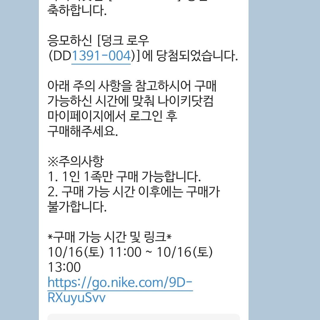 Nike Dunk Low Retro Championship Goldenrod 착용 스타일