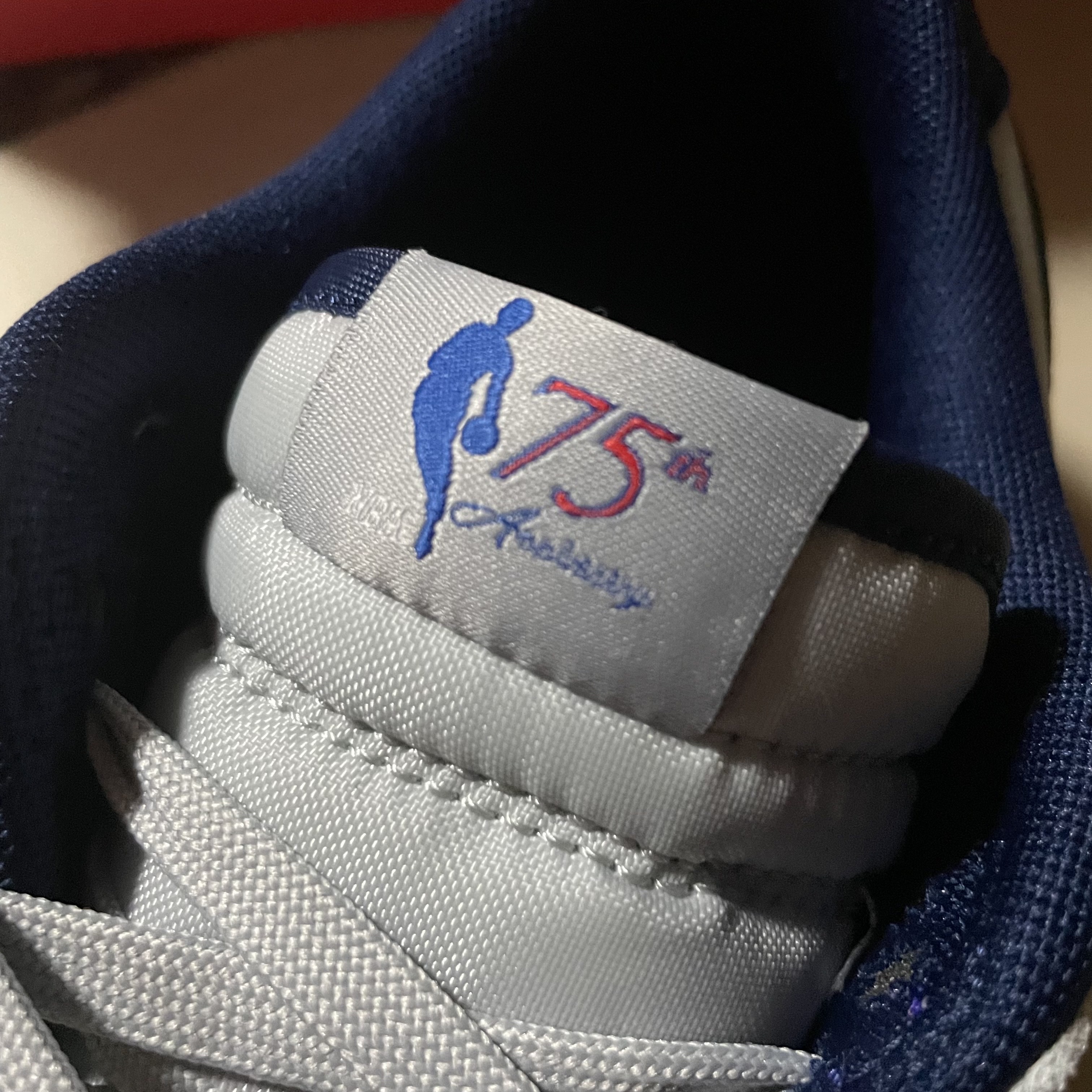 Nike x NBA Dunk Low Retro EMB Nets 착용 스타일 - 4