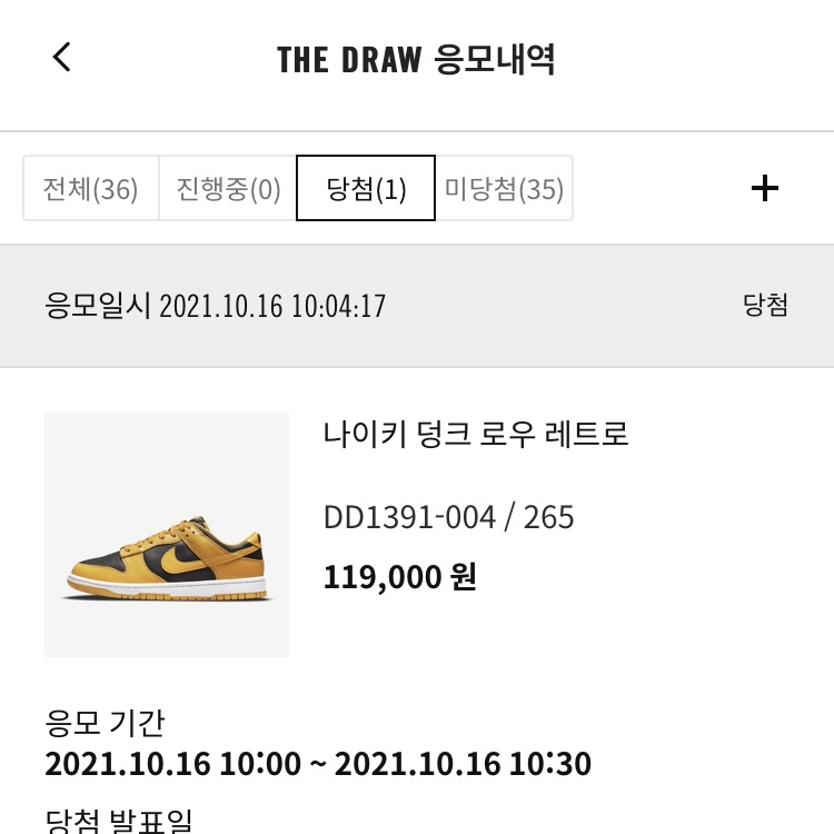 Nike Dunk Low Retro Championship Goldenrod 착용 스타일
