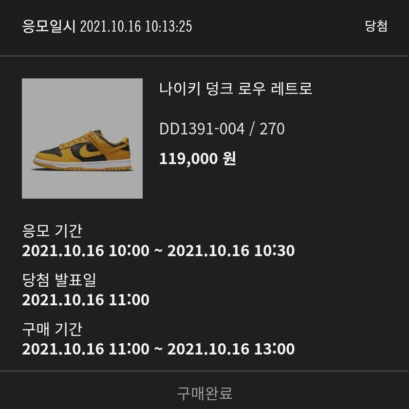 Nike Dunk Low Retro Championship Goldenrod 착용 스타일 - 1