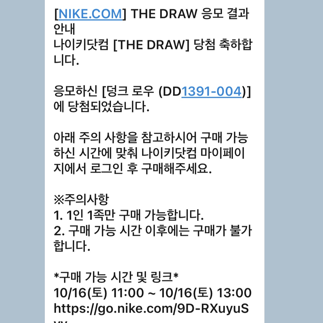 Nike Dunk Low Retro Championship Goldenrod 착용 스타일