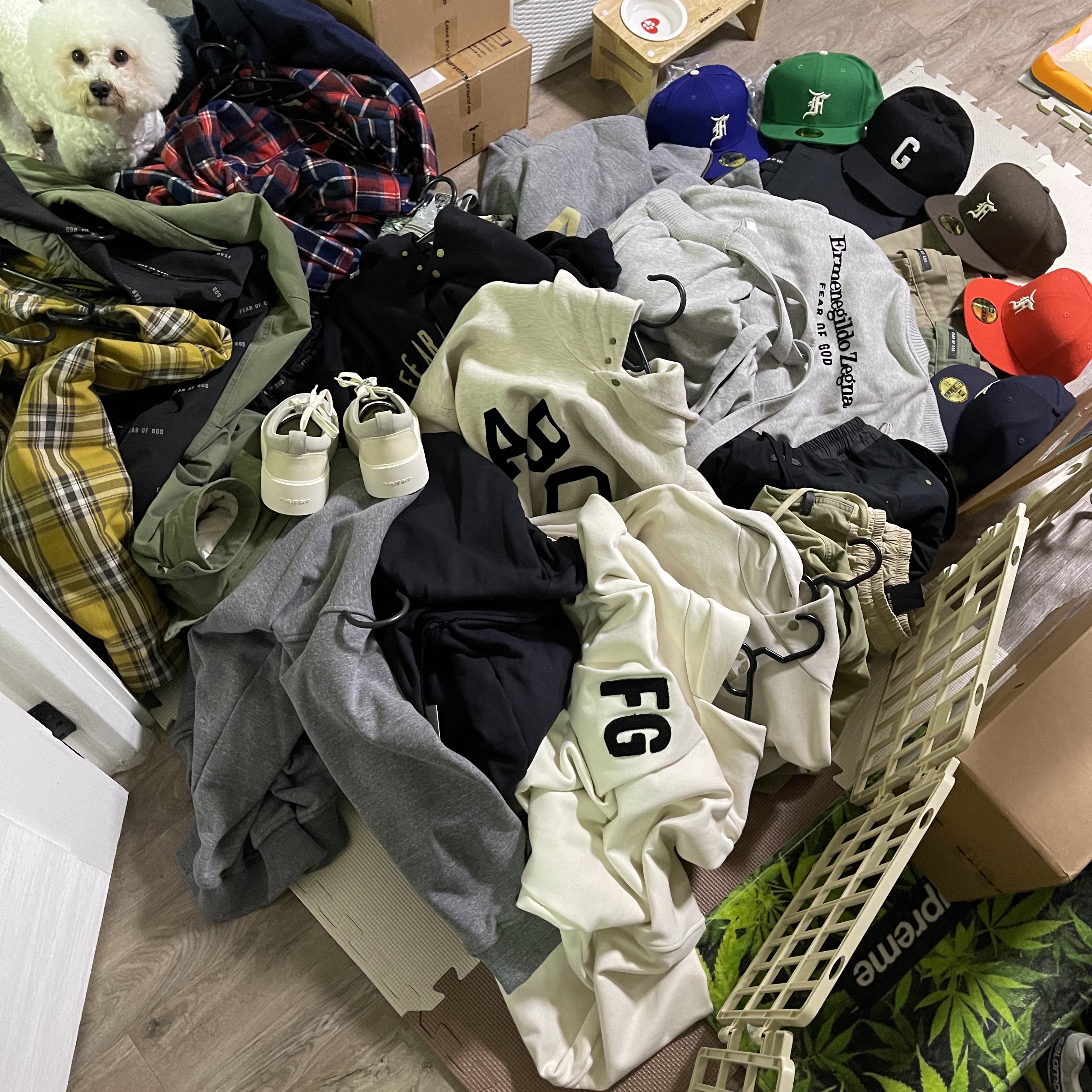 너구리님의 스타일