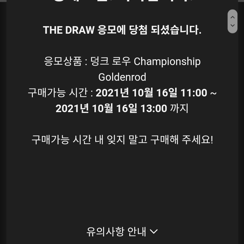 Nike Dunk Low Retro Championship Goldenrod 착용 스타일 - 2