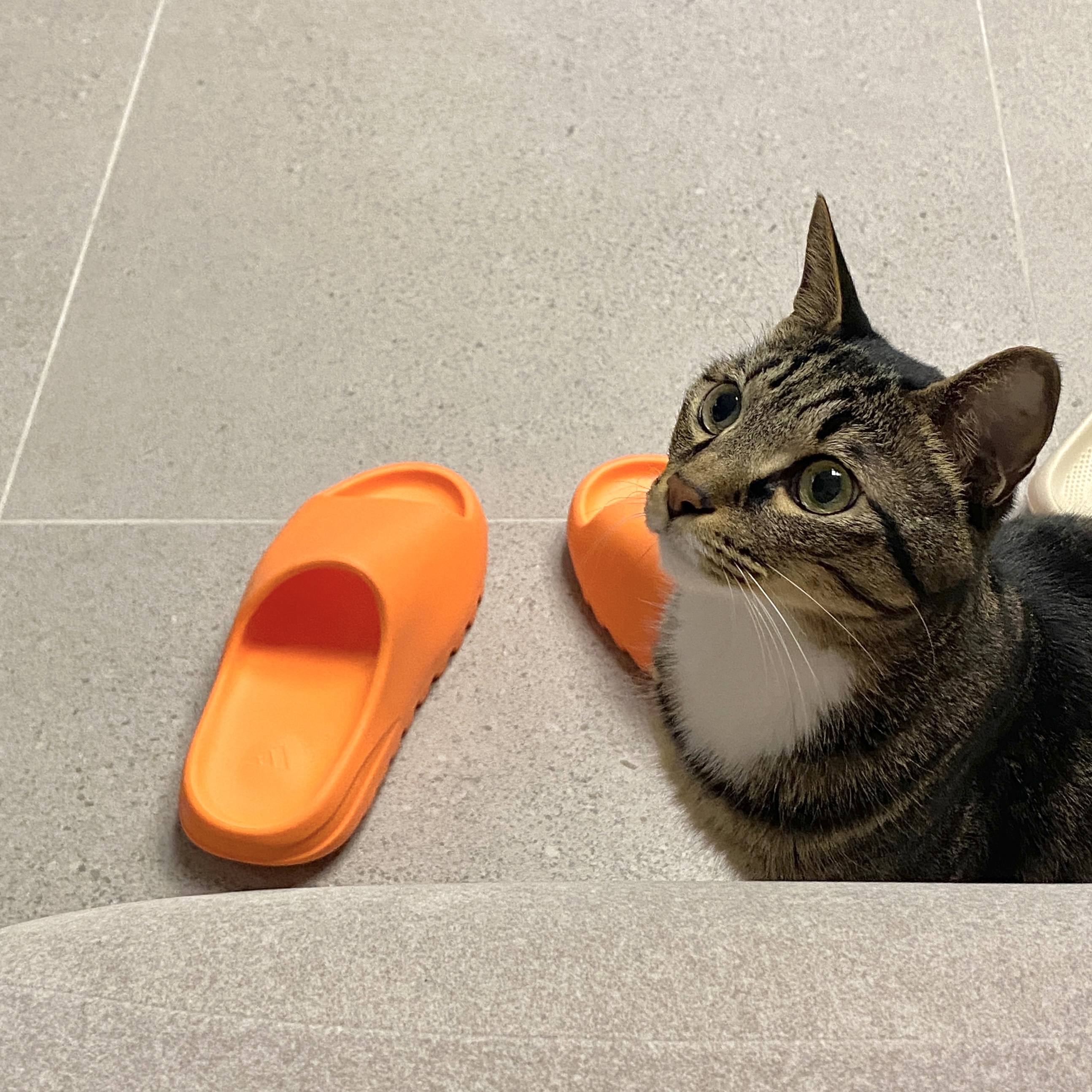 Adidas Yeezy Slide Enflame Orange 착용 스타일