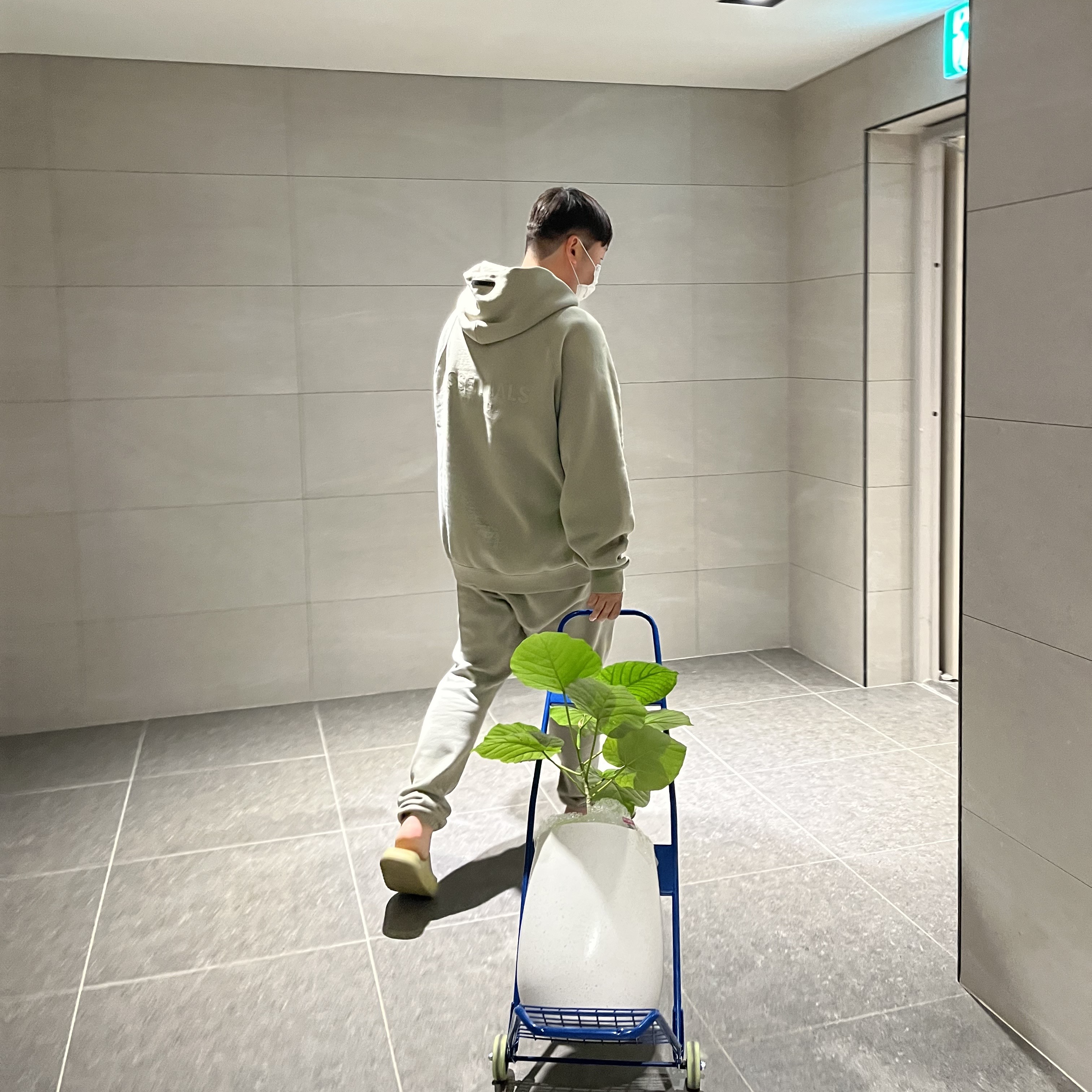 Essentials Pull-Over Hoodie Pistachio - 21FW, Essentials Sweatpants Pistachio - 21FW 착용 스타일