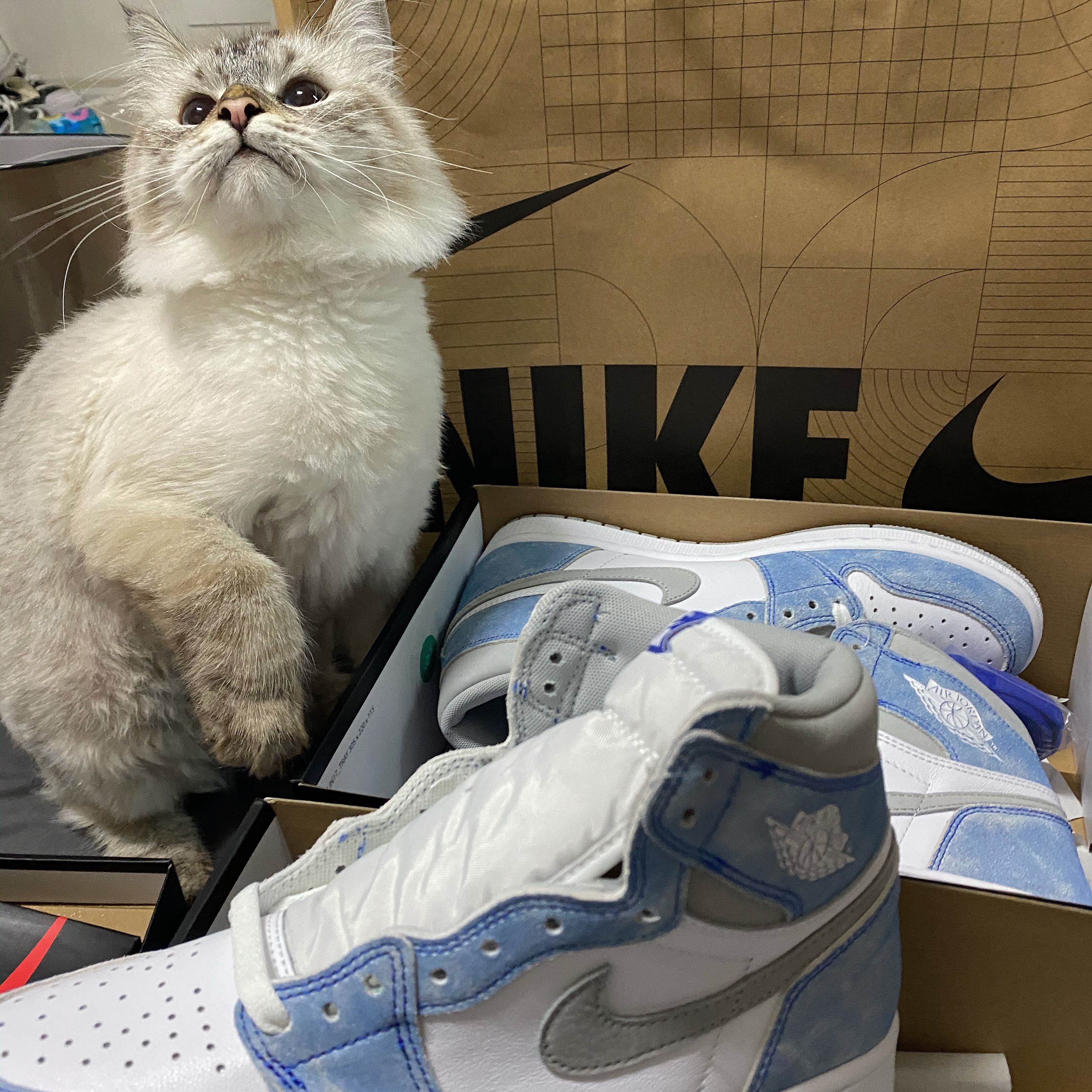 Jordan 1 Retro High OG Hyper Royal 착용 스타일