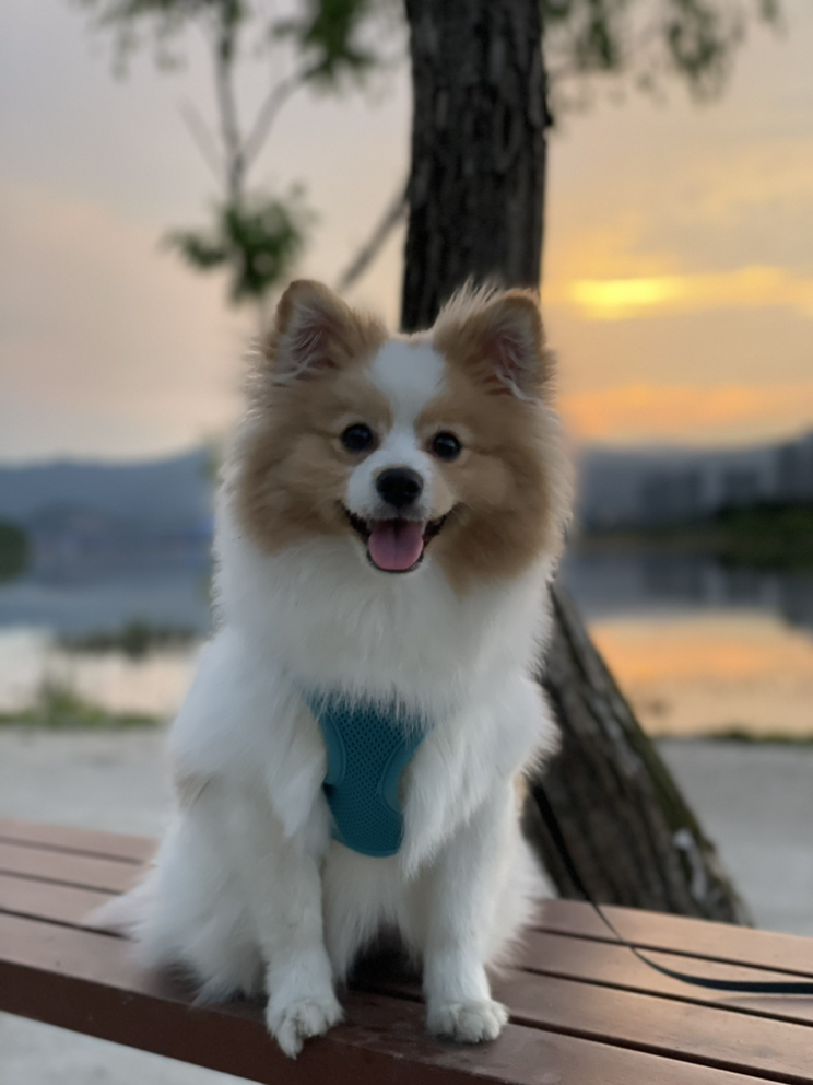 관심 유저 프로필 이미지