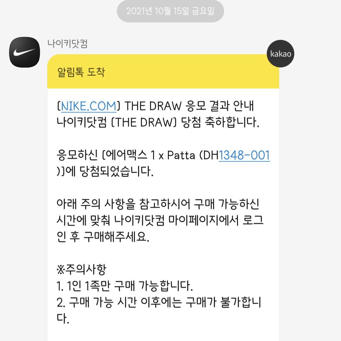 Nike x Patta Air Max 1 Monarch 착용 스타일 - 1