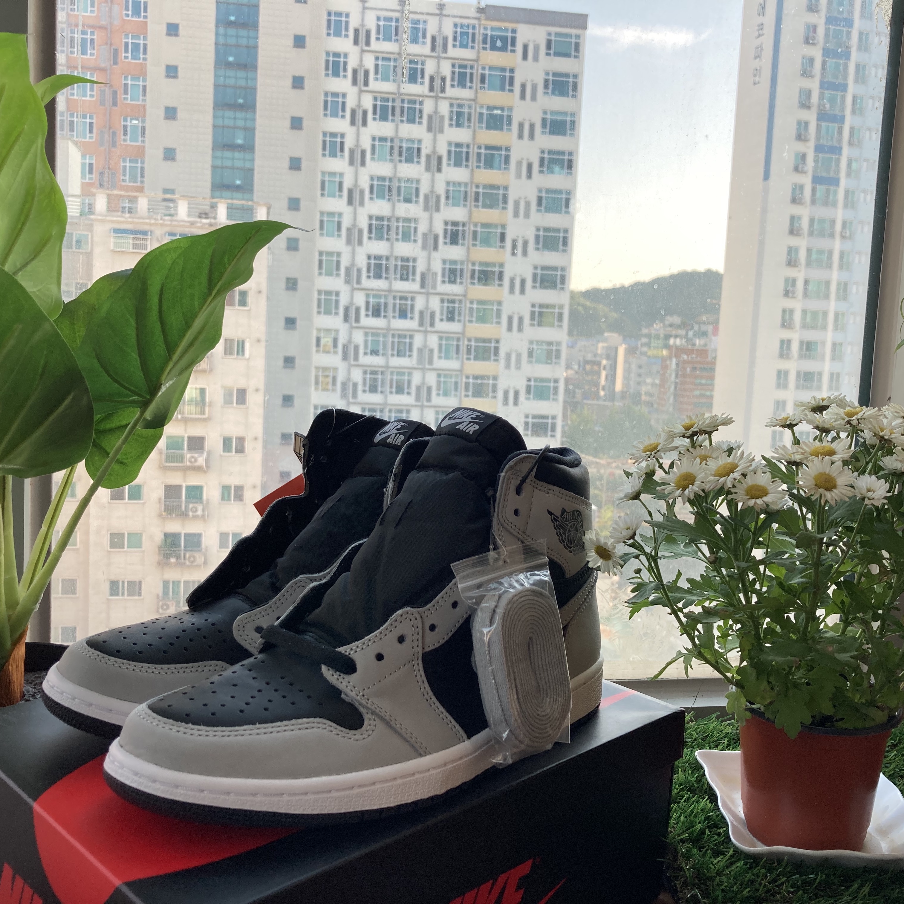 Jordan 1 Retro High OG Shadow 2.0 착용 스타일