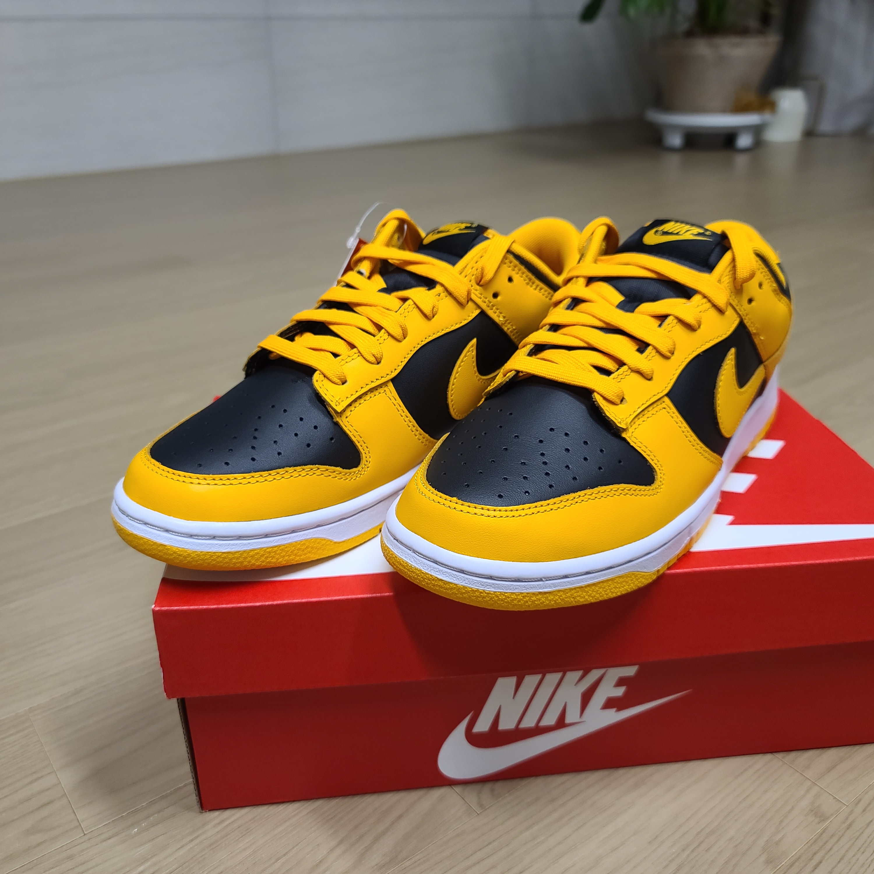 Nike Dunk Low Retro Championship Goldenrod 착용 스타일