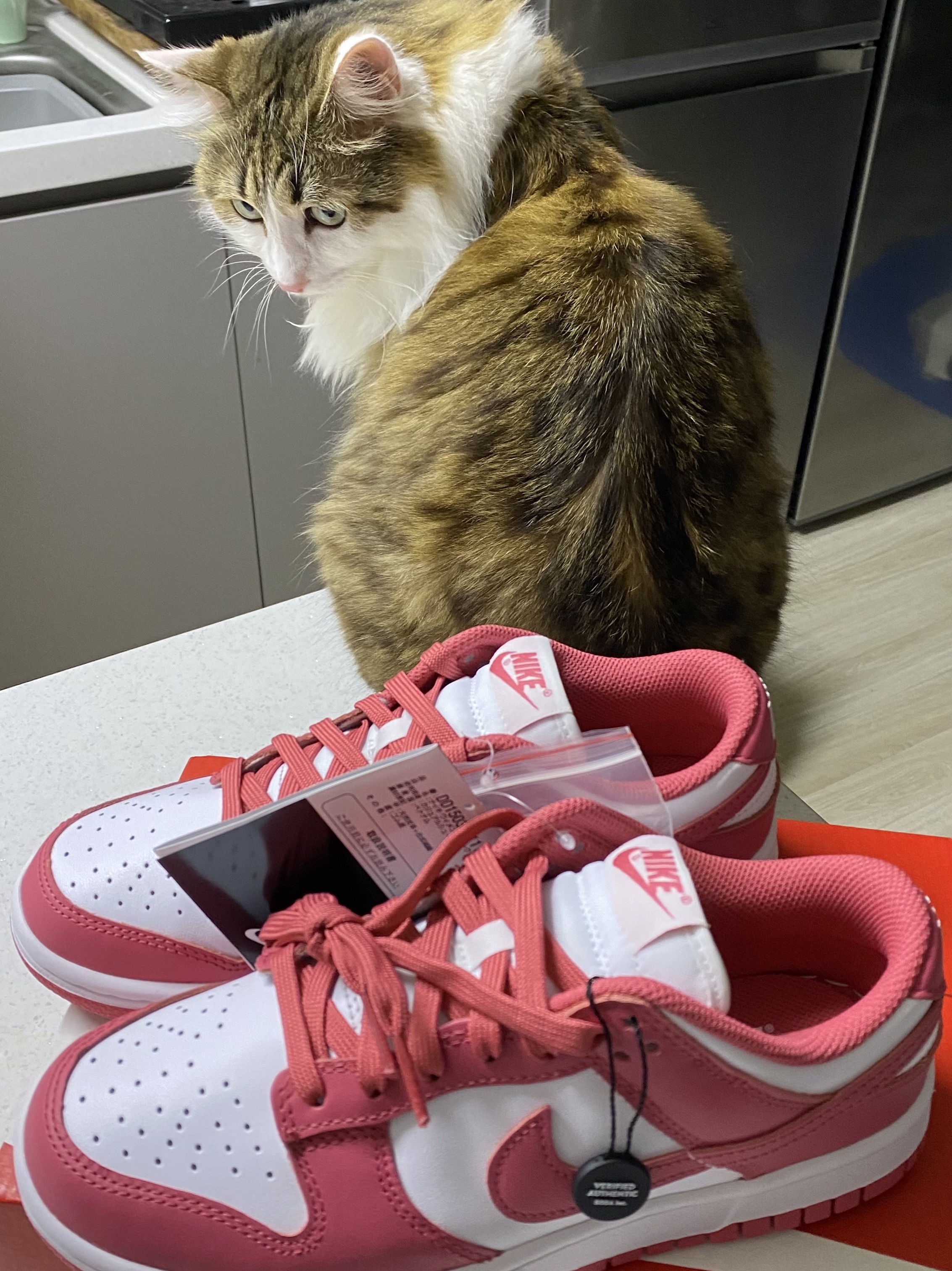 (W) Nike Dunk Low Archeo Pink 착용 스타일 - 2