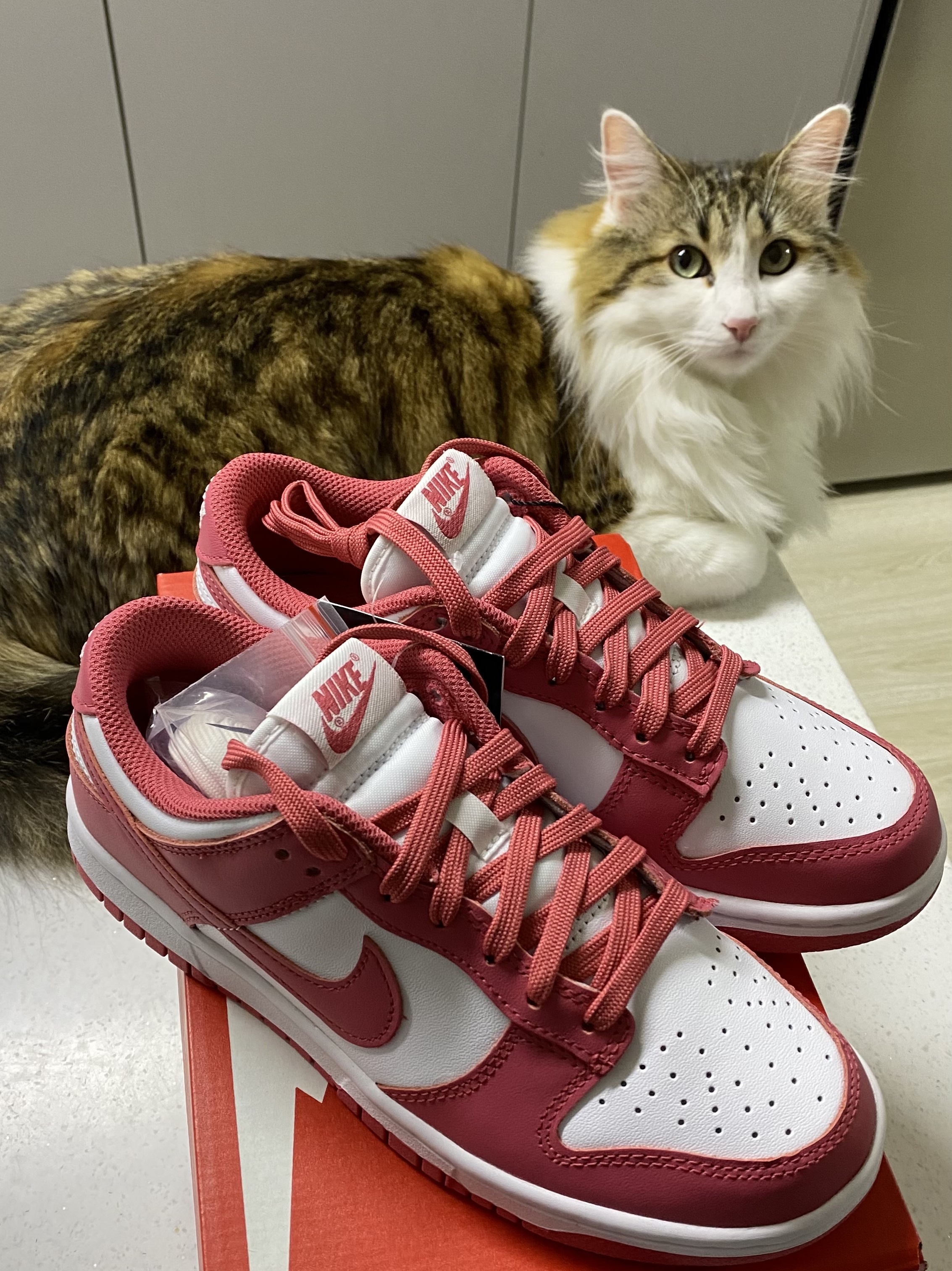 (W) Nike Dunk Low Archeo Pink 착용 스타일 - 1