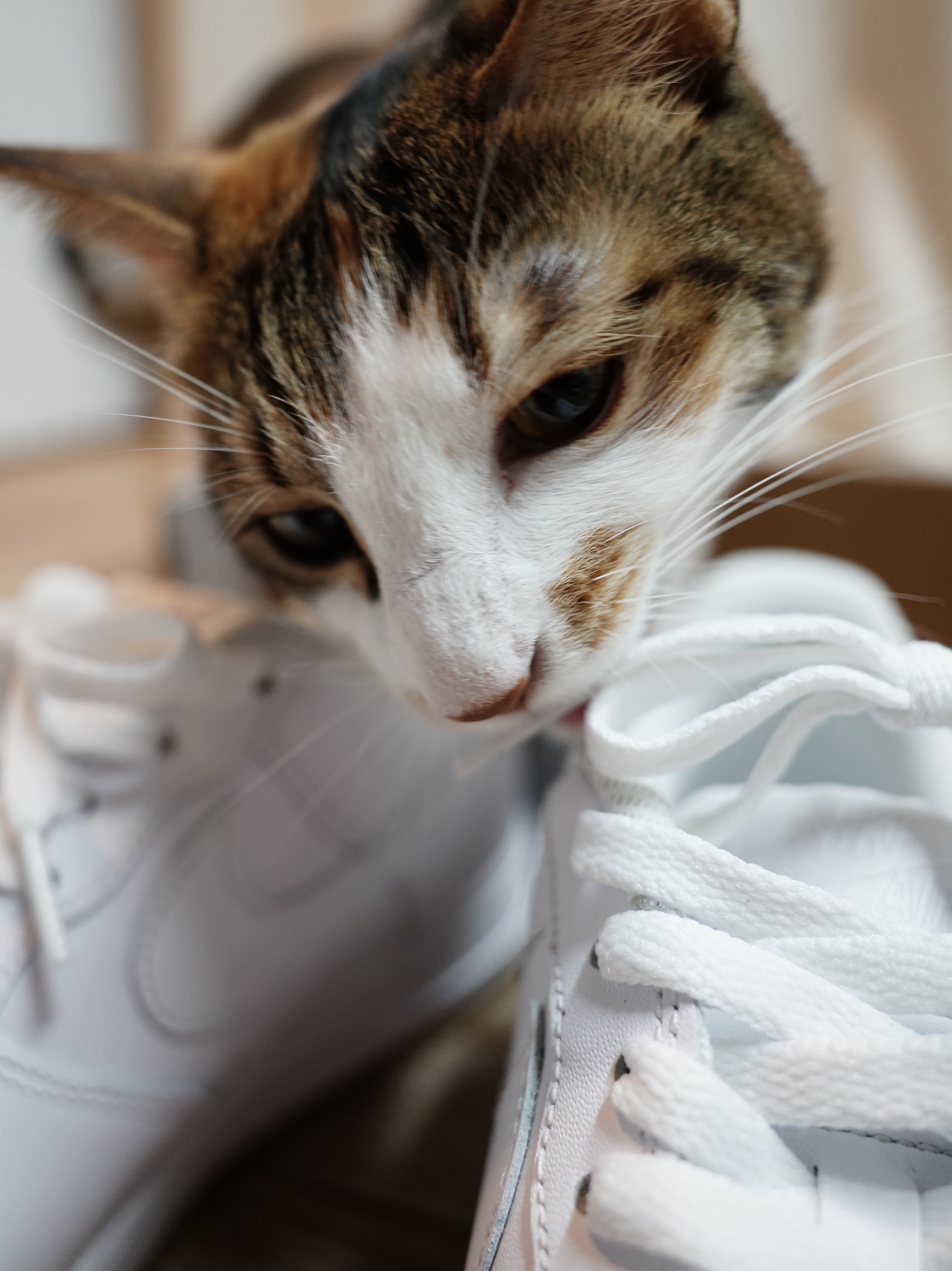 Nike Air Force 1 '07 White Gum Light Brown 착용 스타일 - 3